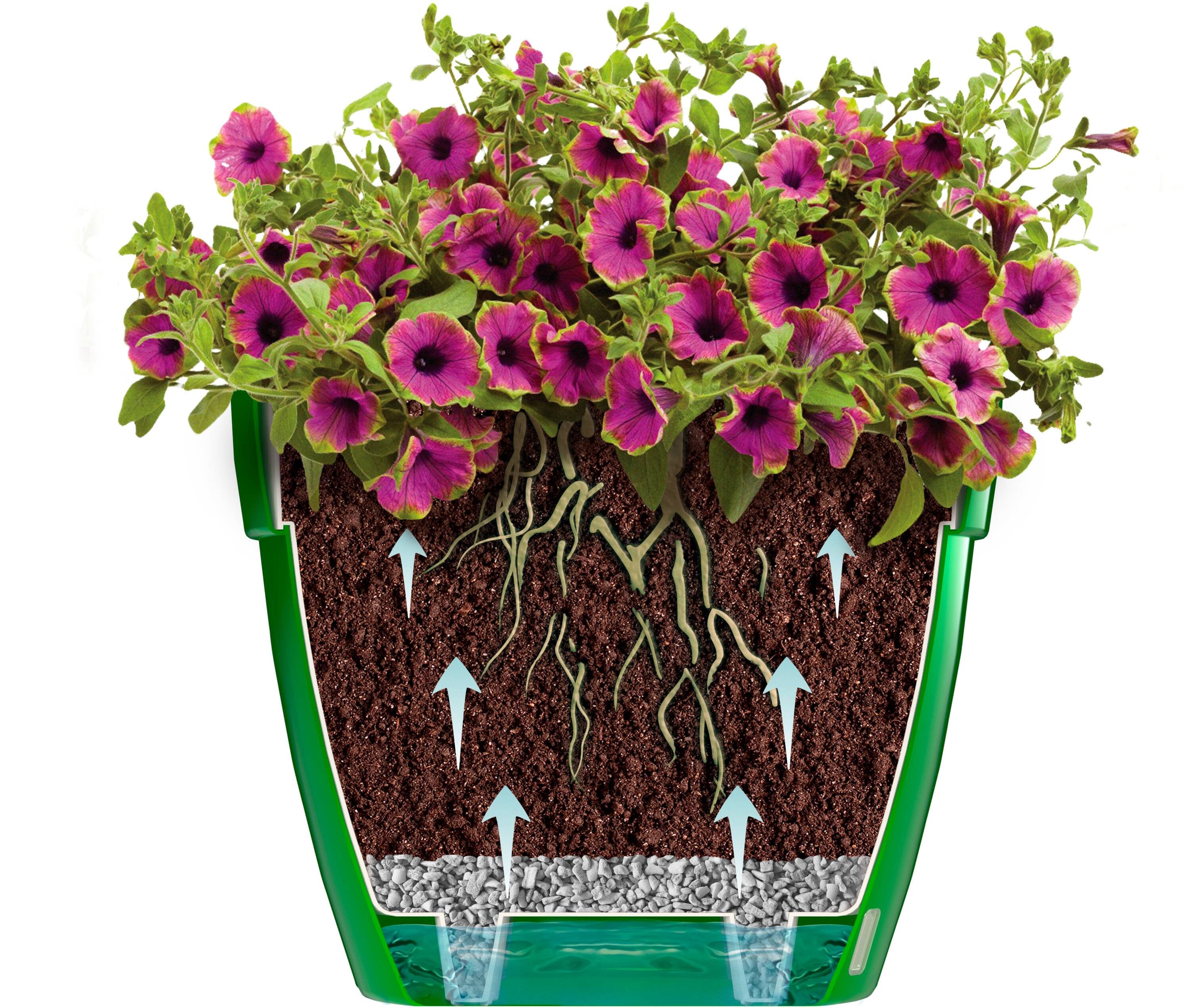 Decopots AST1063PCKMENTHOL Planter-Window-Box - View #4