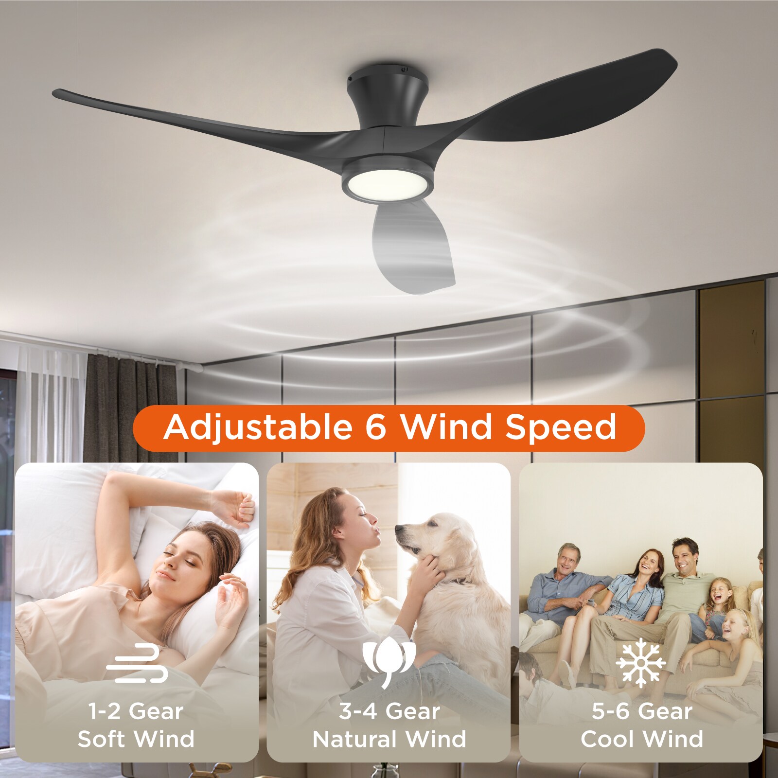 TALOYA TLY-RT-BK-X52 Ceiling-Fans - View #6