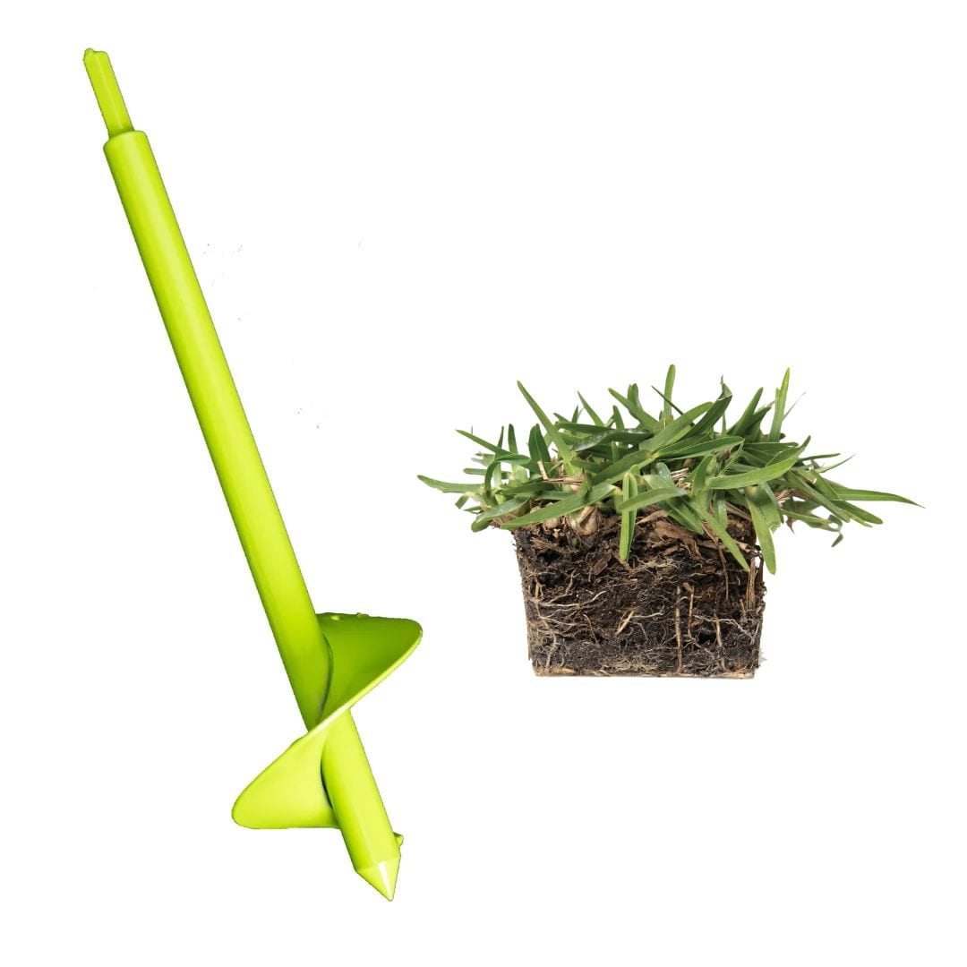 Bethel Farms BAUGT8SCIT64 144-sq ft Natural St. Augustine Grass Sod Plug Lawn Repair SodPod ( Individual Piece Dimensions: 3-in x 3-in )