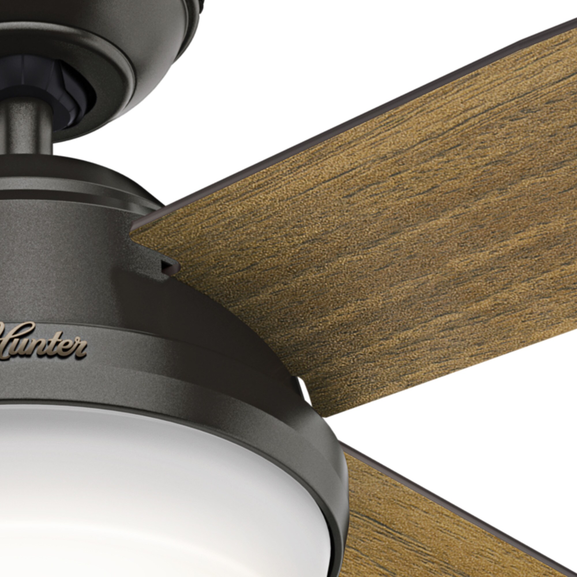 Hunter 59443 Ceiling-Fans - View #6