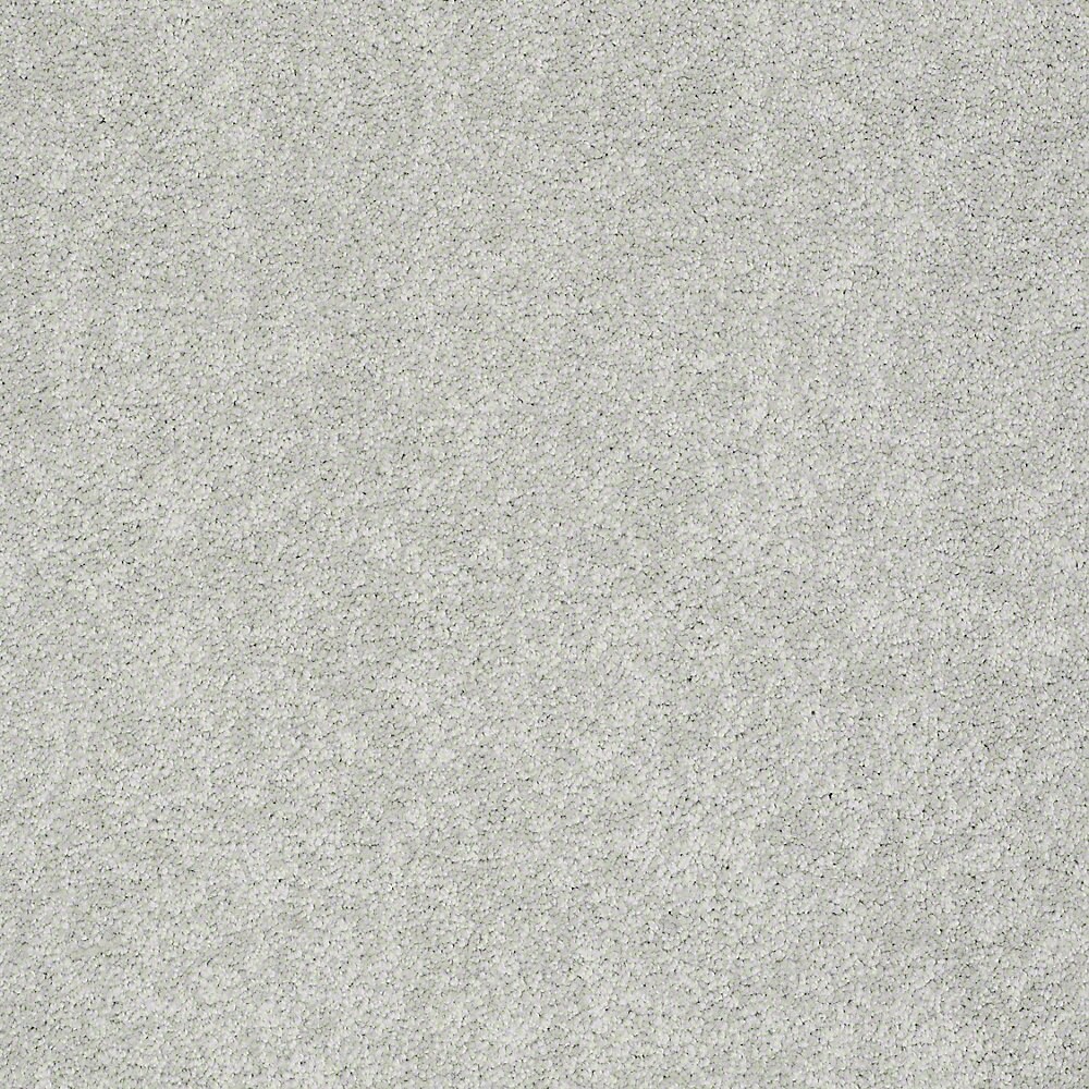 STAINMASTER 7L605-500-SAMP (Sample) PetProtect Baxter IV Mac Textured Carpet