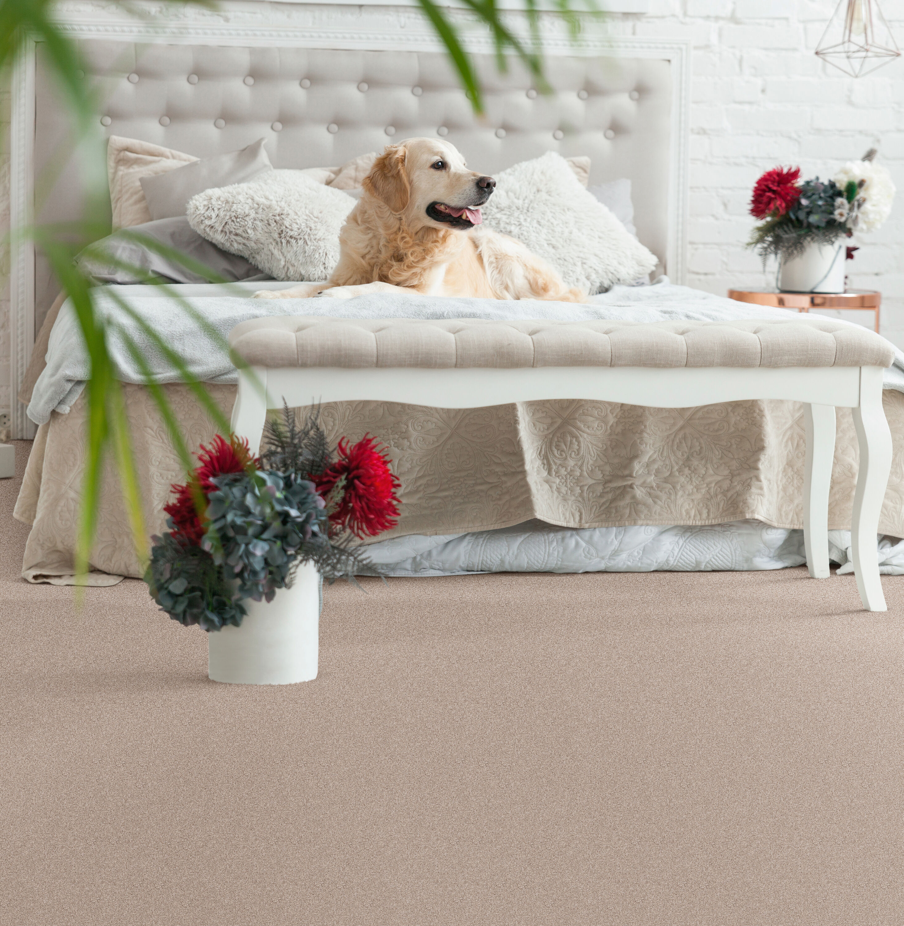 STAINMASTER PetProtect 7L906 - 803 - SAMP Carpet-Samples - View #4
