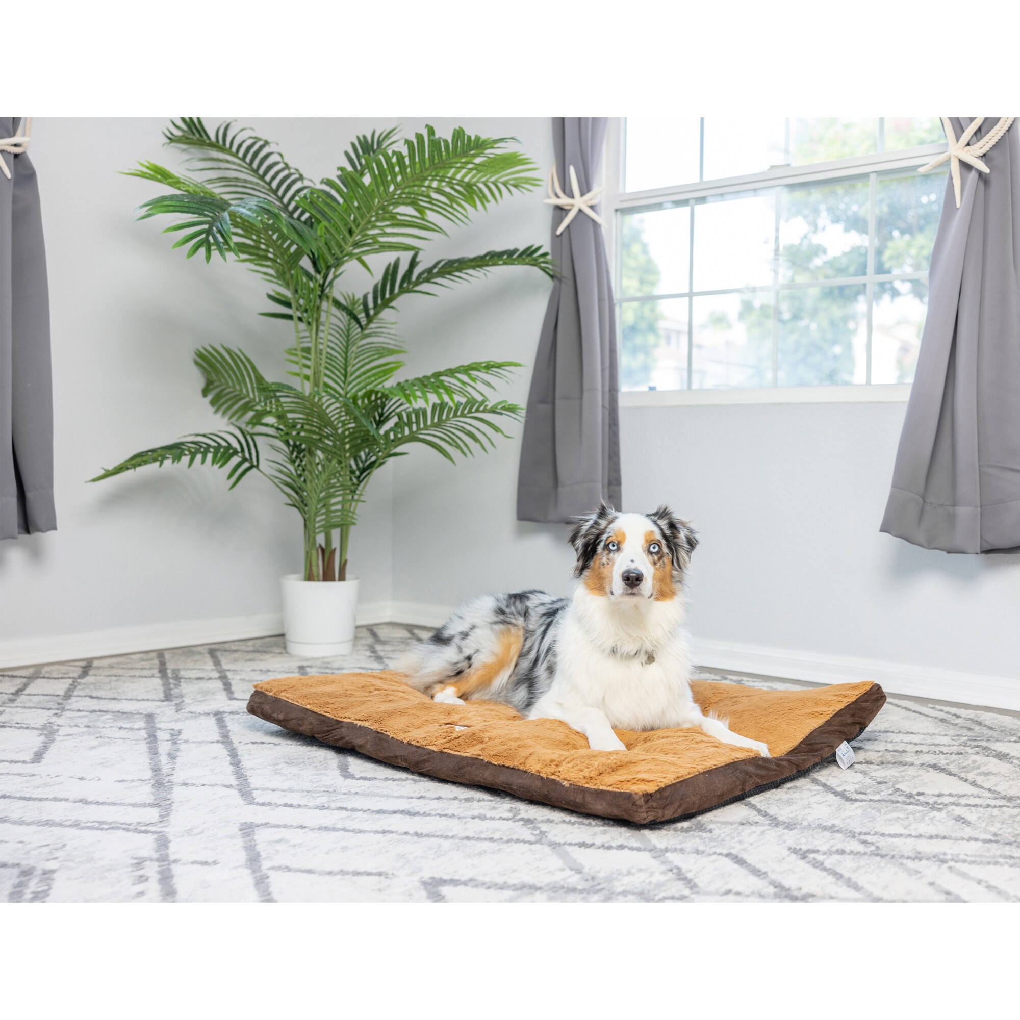 Armarkat M05HKF/ZS-L Pet-Beds - View #9