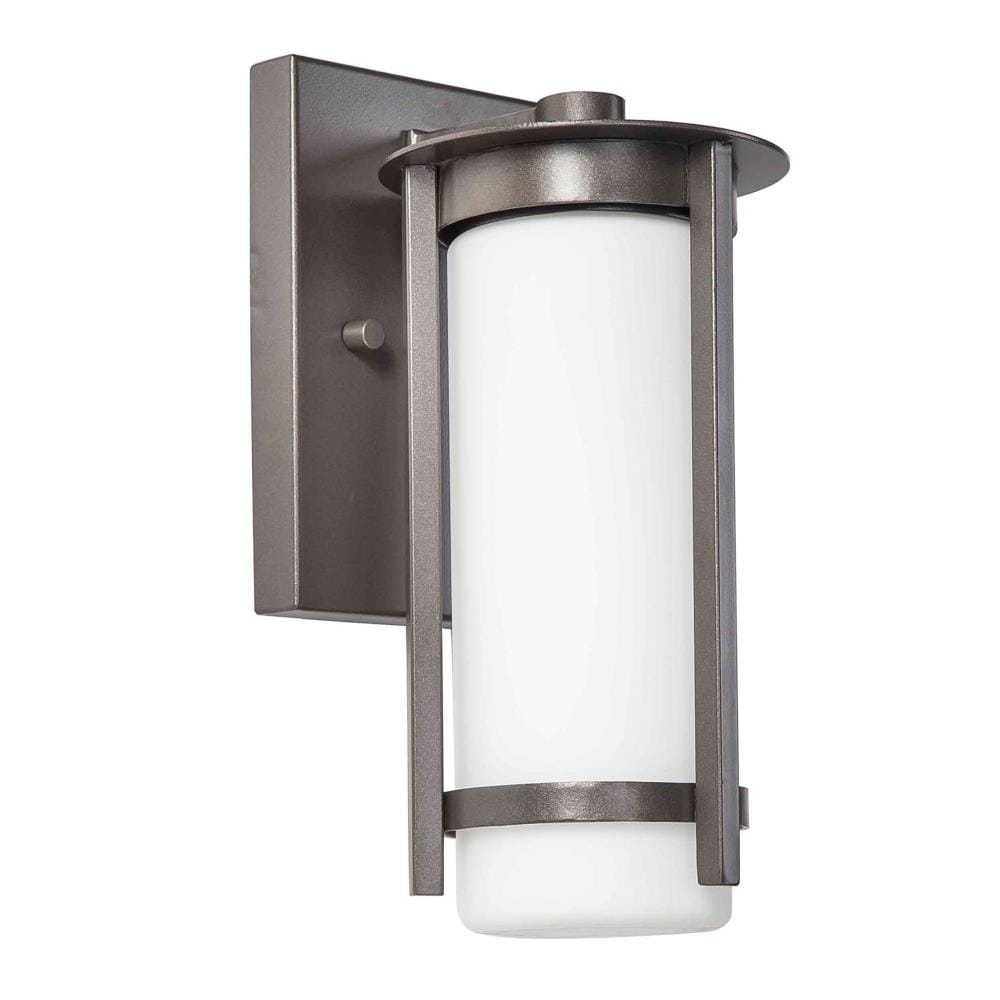 EGLO 1-Light Graphite Outdoor Light in the Outdoor Wall Lights department at Lowes.com