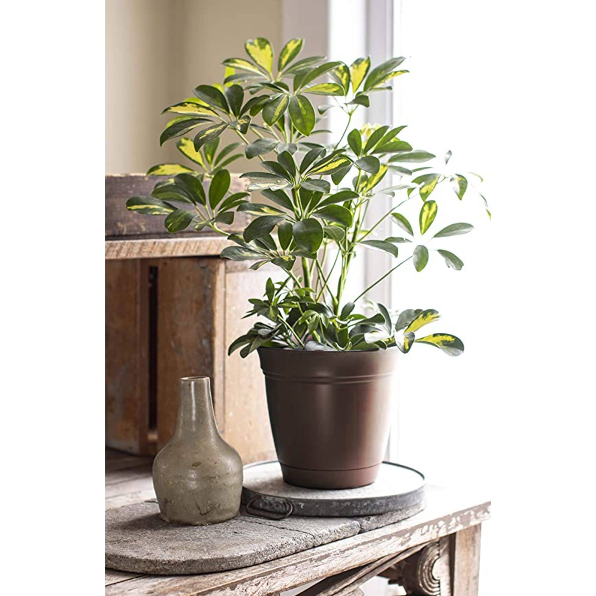 The HC Companies 770932836250 Planter-Window-Box - View #3