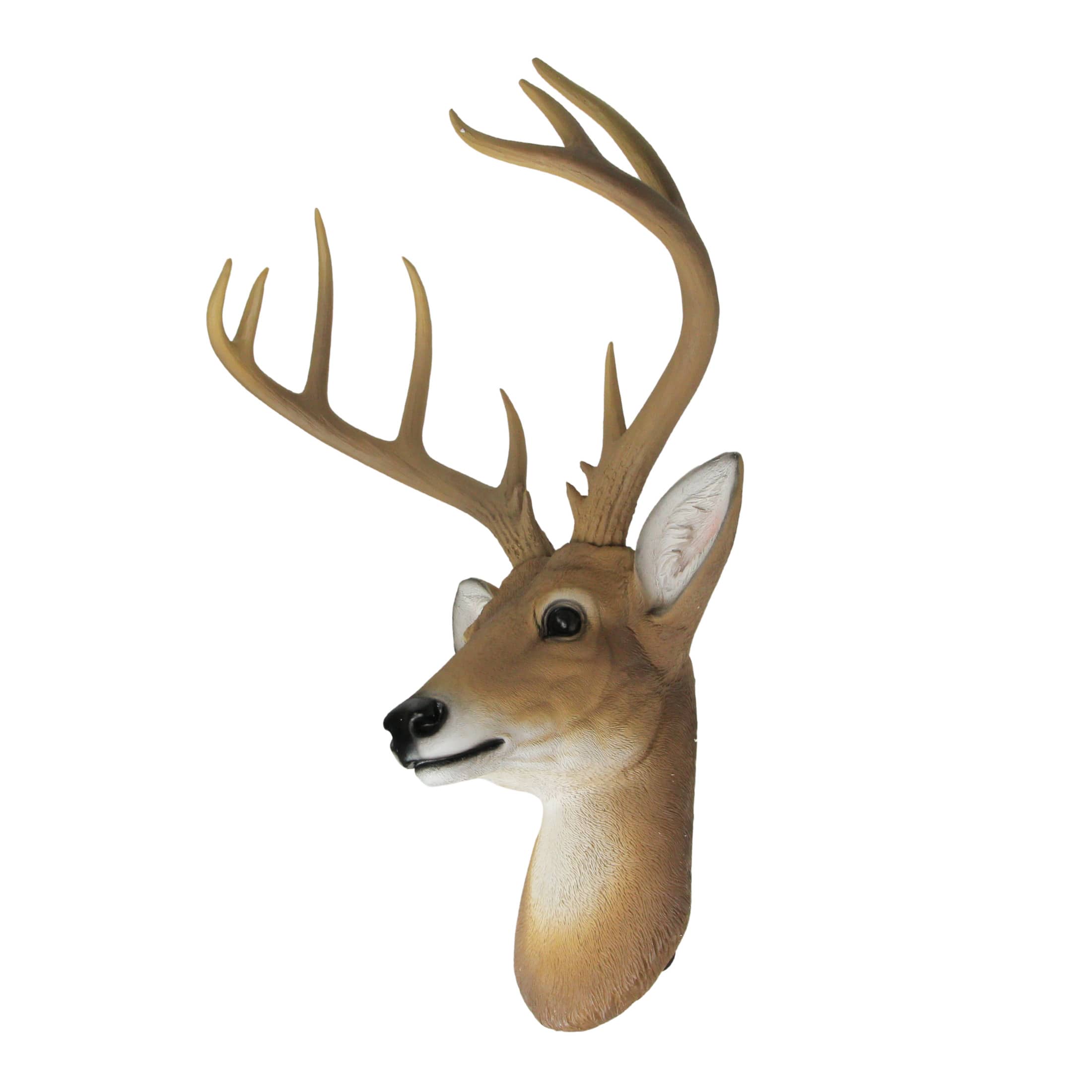 Zeckos 12 Point Buck Deer Head Bust Wall Hanging in the Wall
