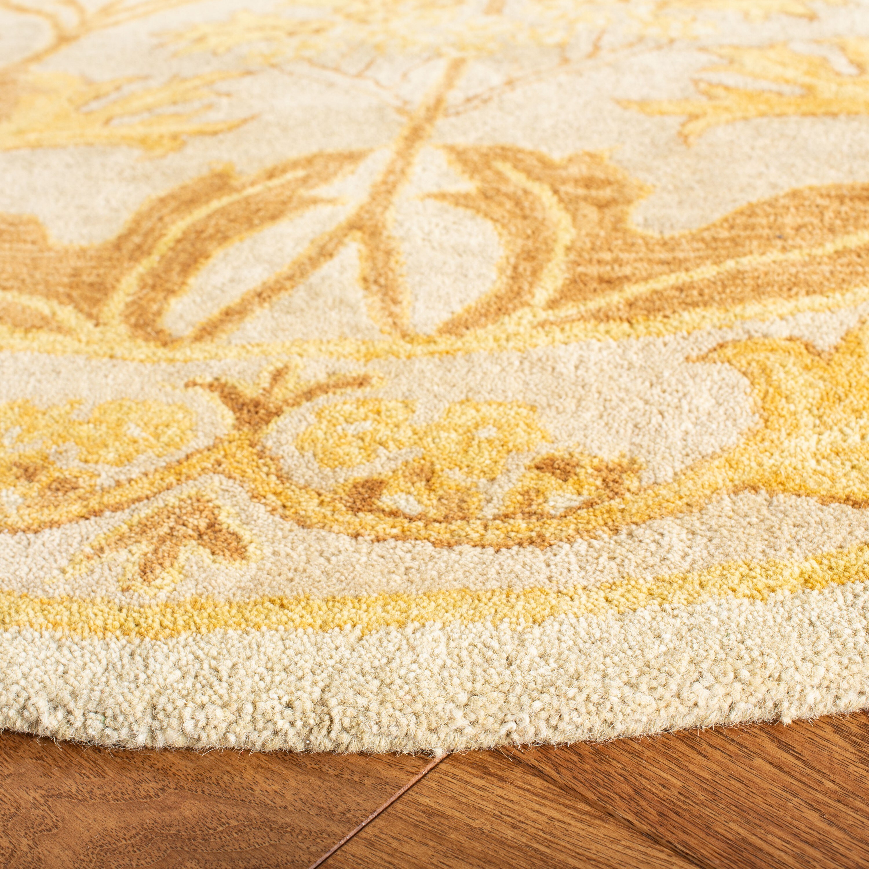 Safavieh AN541B-4R rugs - View #4
