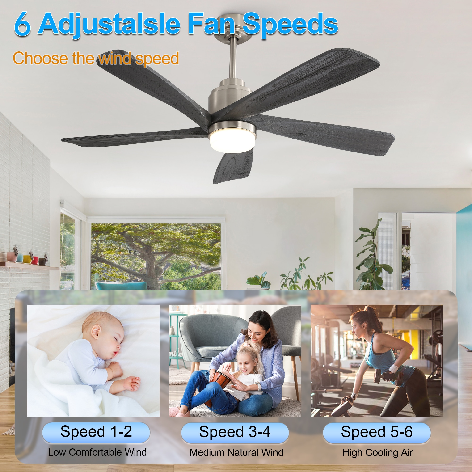  52LSP264729NK Ceiling-Fans - View #12