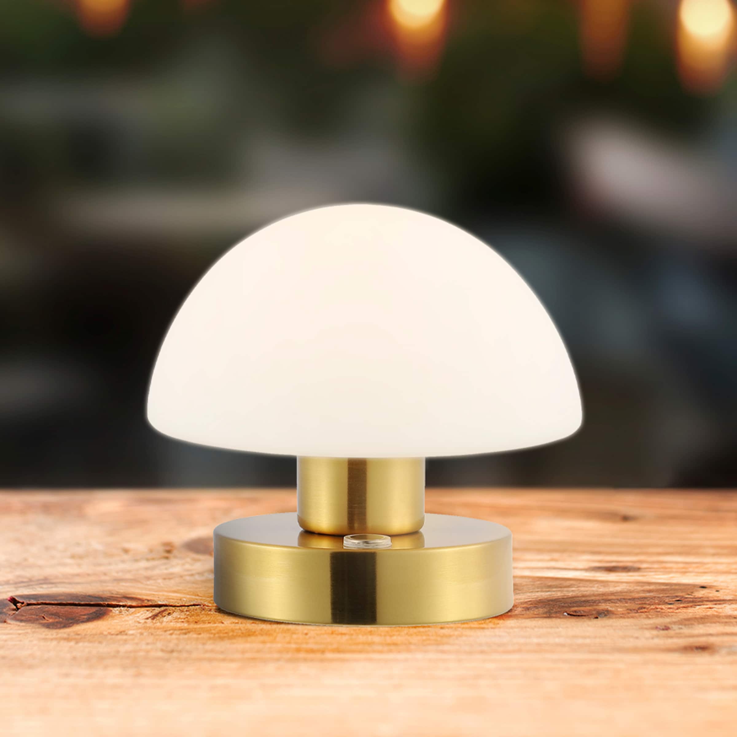 kip tevredenheid rok JONATHAN Y Zoe Rechargeable Cordless 5.75-in Brass Gold LED Table Lamp with  Glass Shade in the Table Lamps department at Lowes.com