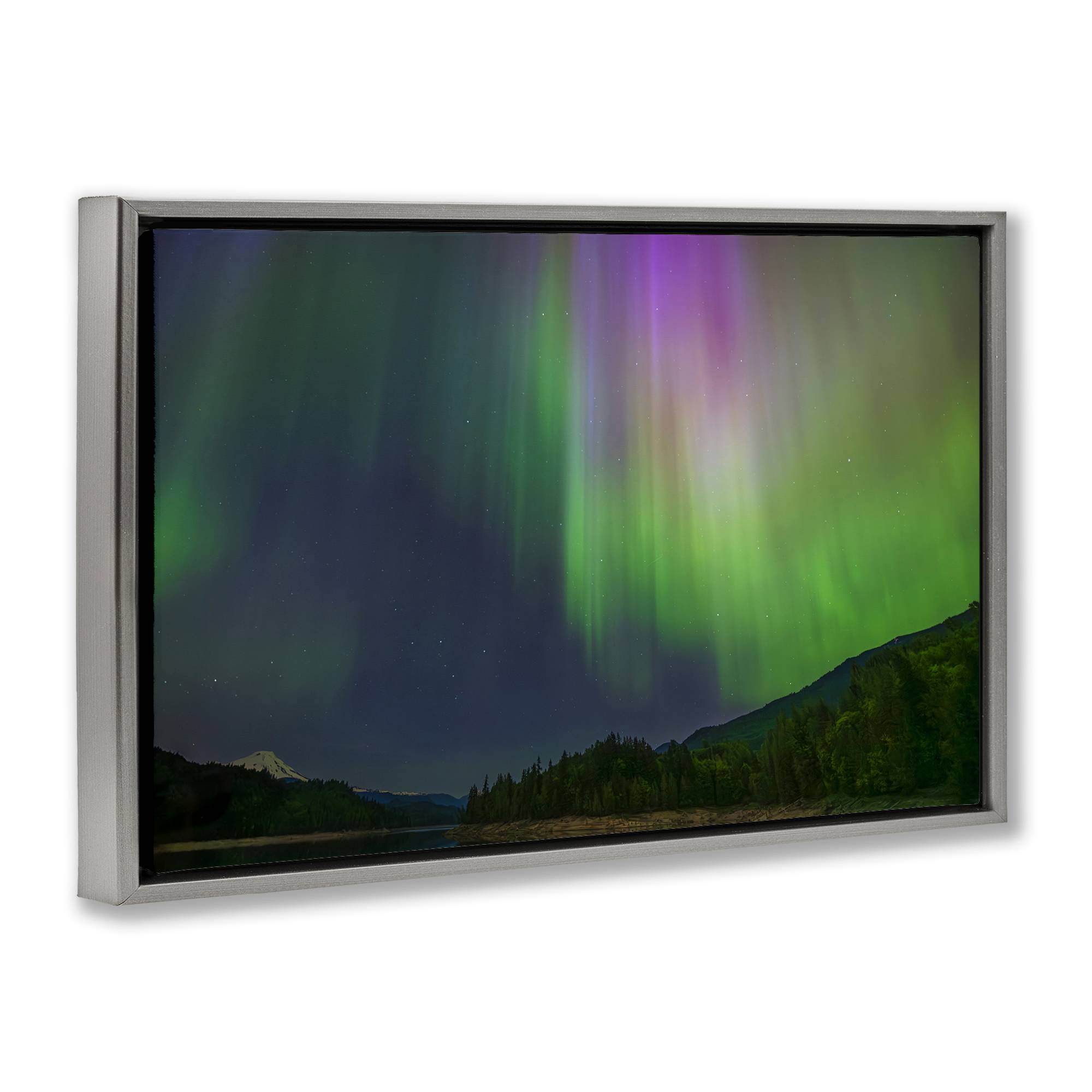 Stupell Industries BS-631-FFL-20X30 Wall-Art - View #2