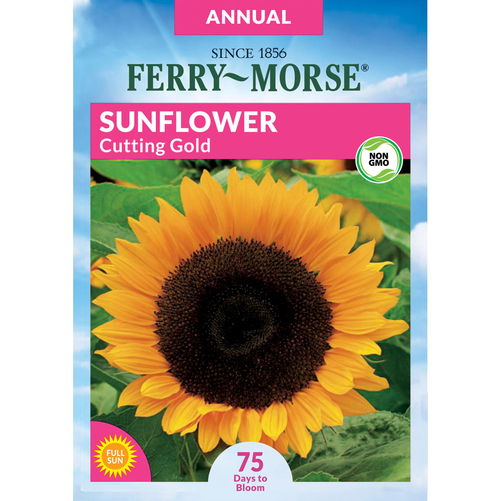 Ferry-Morse Sunflower Cuttin Gold Flower Flower Seeds at Lowes.com