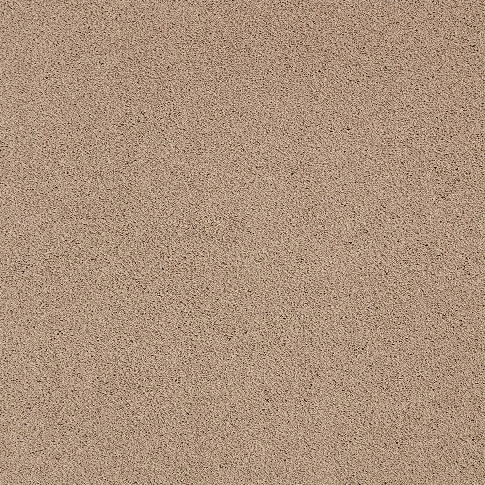 STAINMASTER PetProtect STP54-L016-0808 (Sample) Beau Dacious Haze Brown 48-oz sq yard Triexta Textured Indoor Carpet