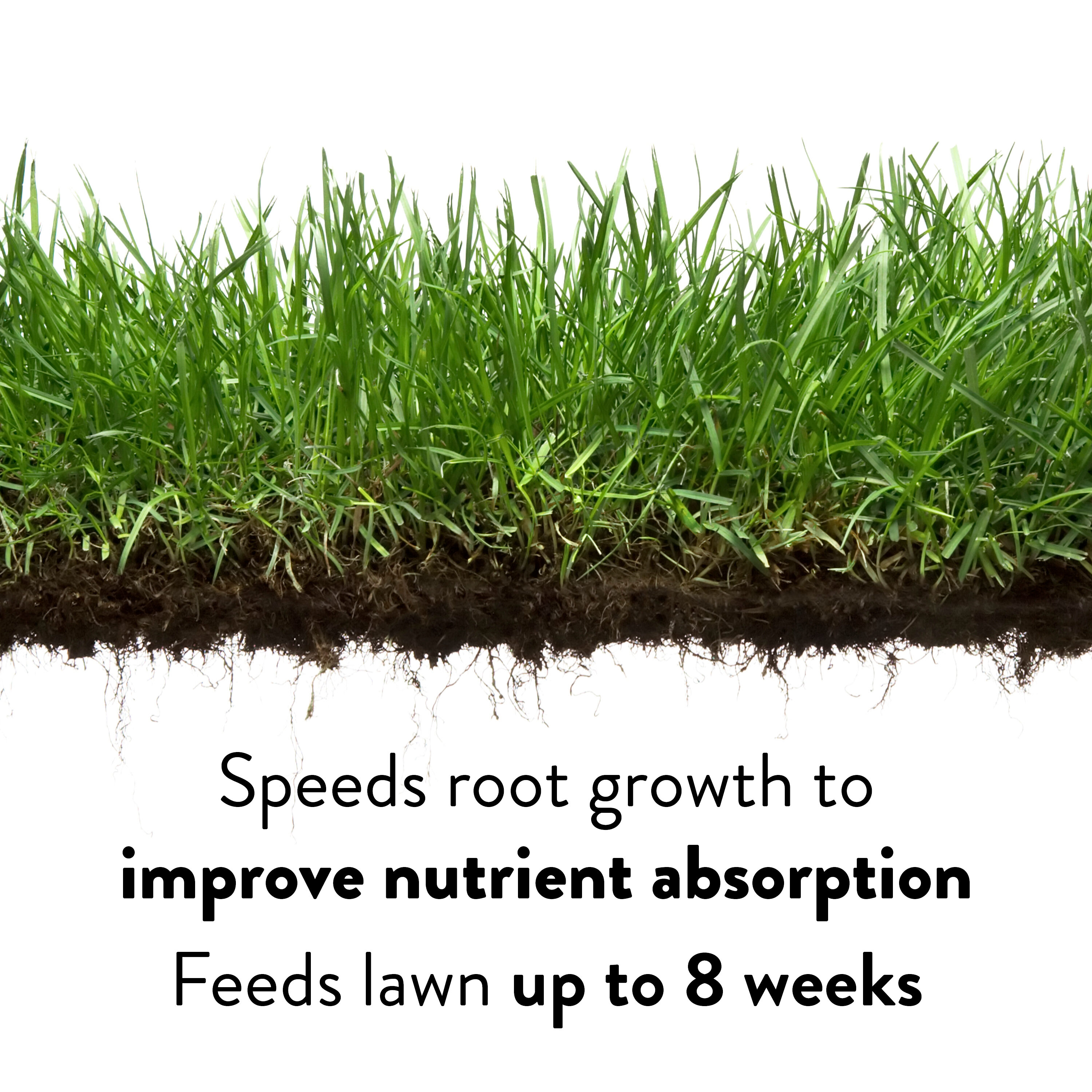 Greenview 2131176 Lawn-Fertilizer - View #3