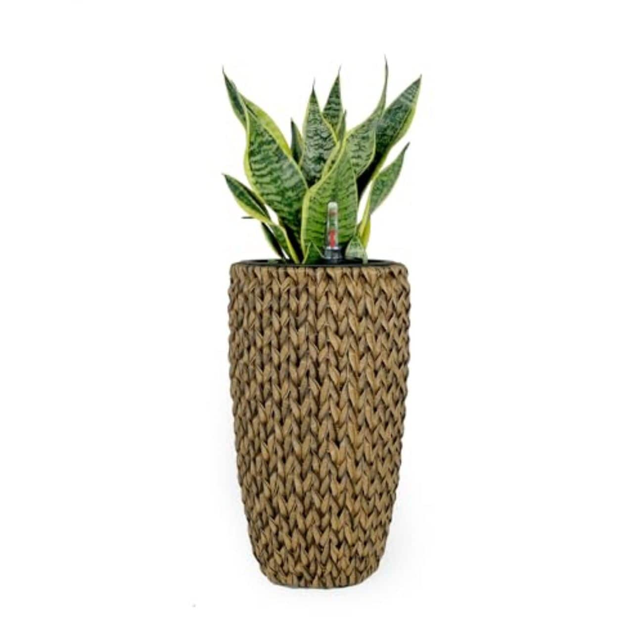 Siavonce XH44659 Planter-Window-Box - View #5