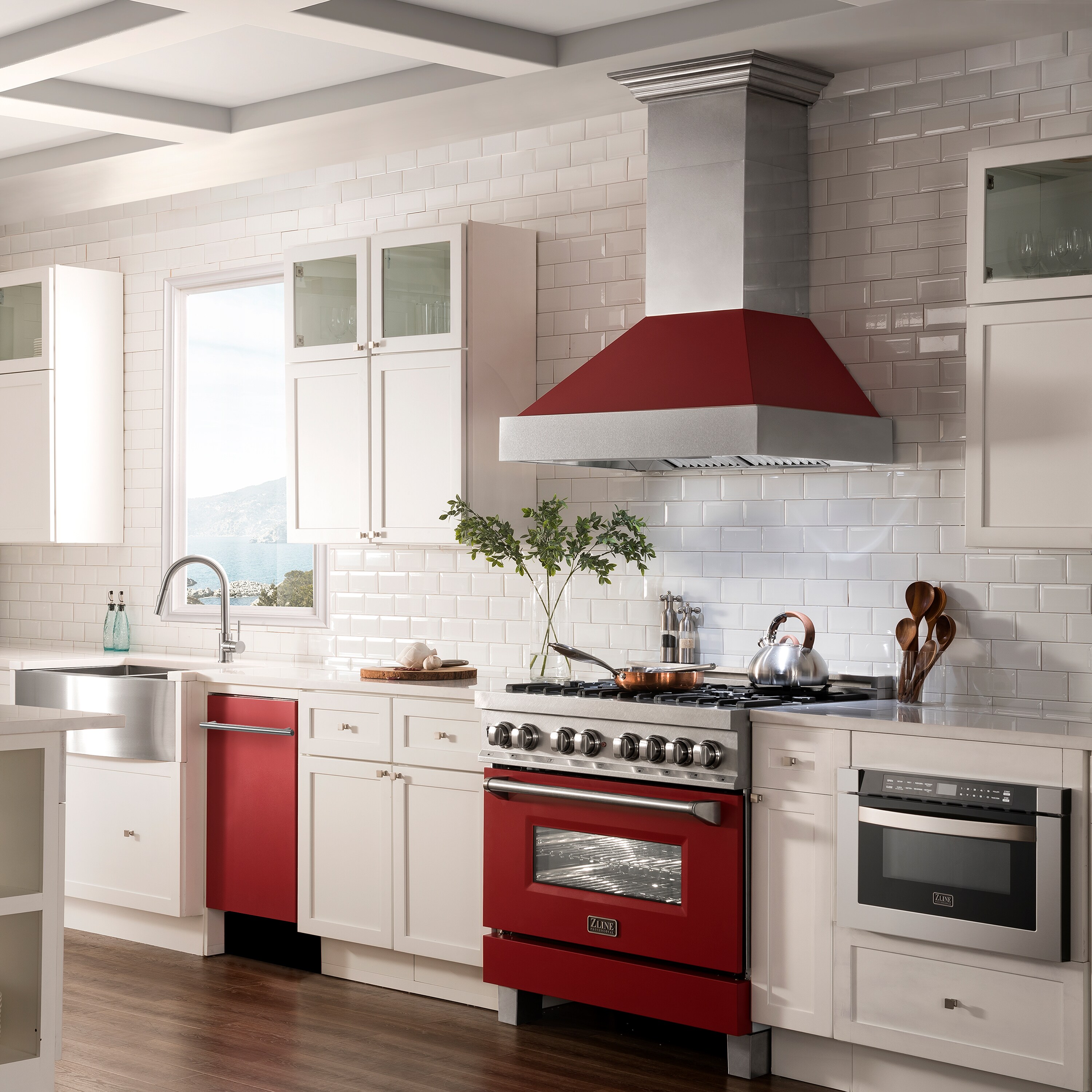 ZLINE KITCHEN & BATH DW-RM-H-18 Builtin-Dish - View #9