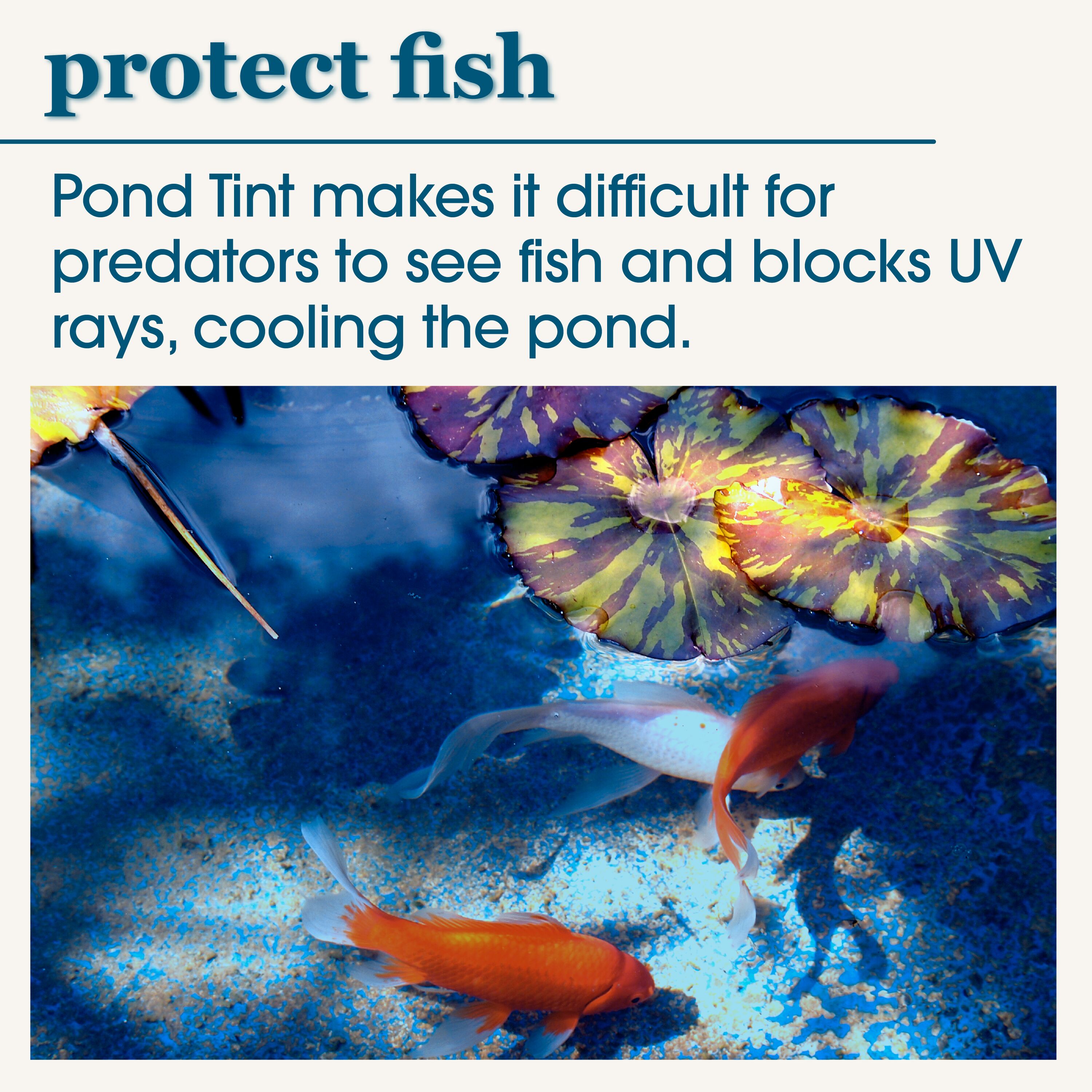 smartpond 54407 Pond-Cleaners - View #7