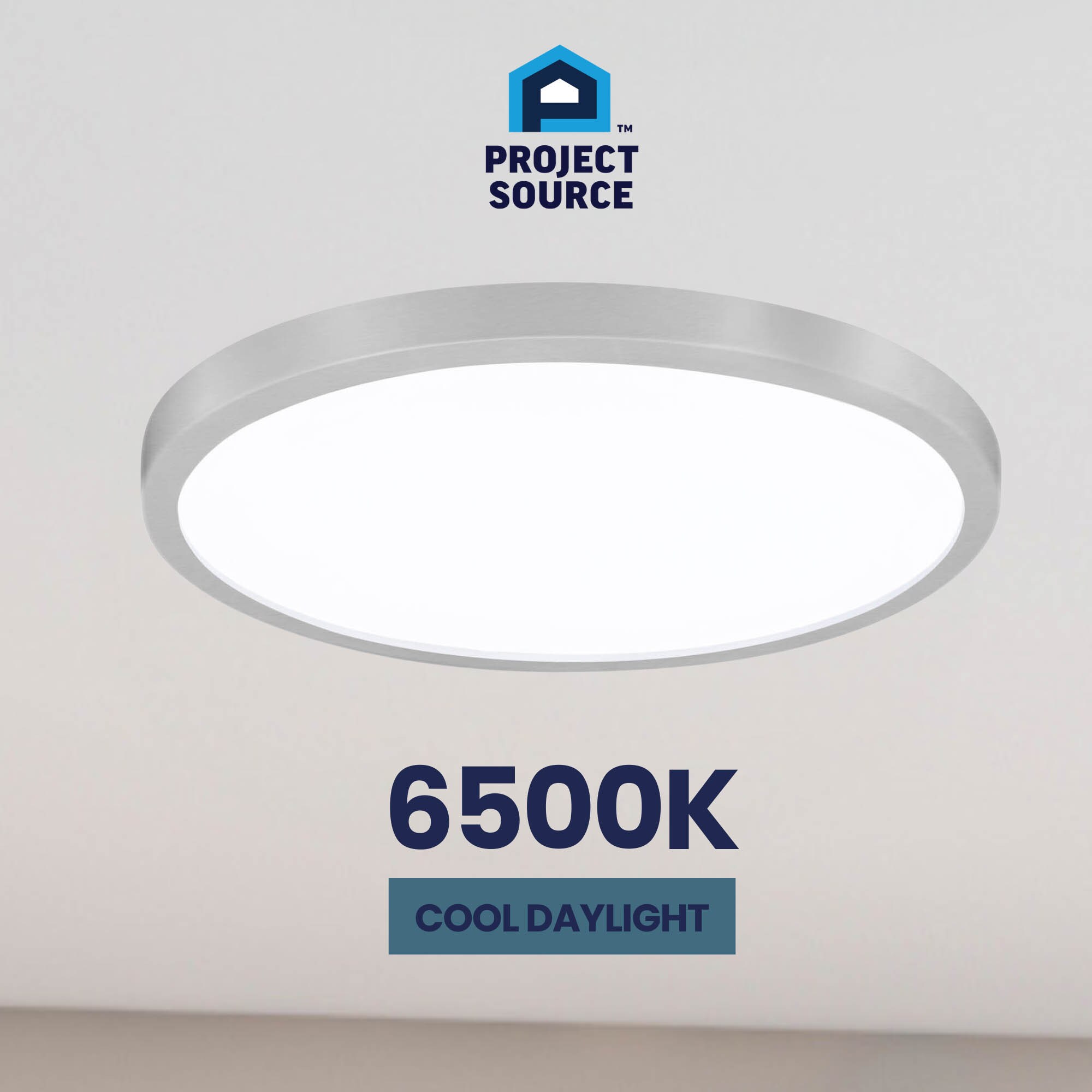 Project Source 43545 flushmounts - View #13