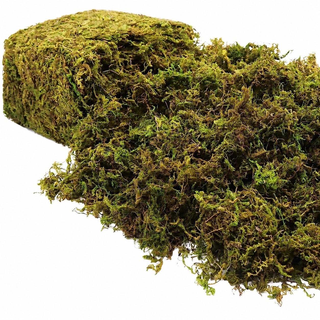 Etokfoks  Green Moss Decorative Spherical Faux Moss 1 Pack Artificial Moss for Potted Plants Terrariums Centerpieces