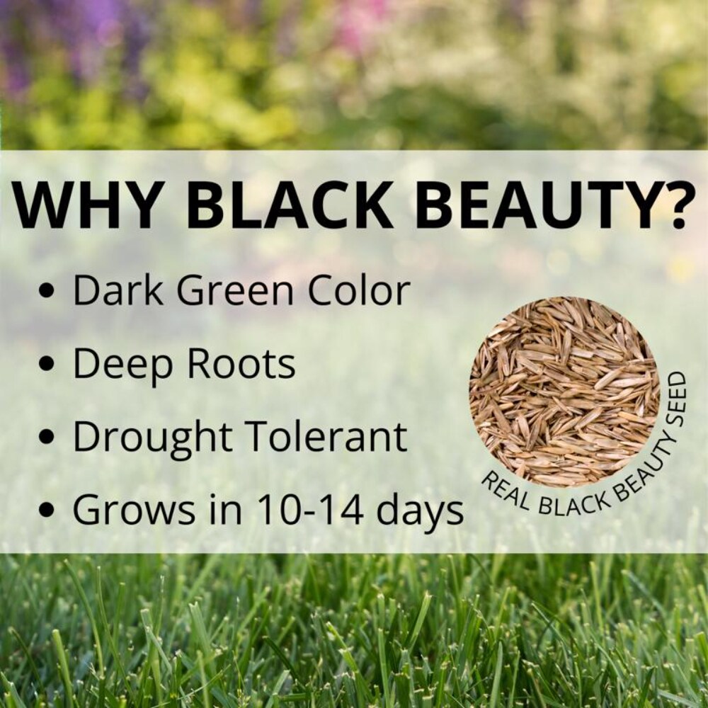 Jonathan Green 10315 Grass-Seed - View #7