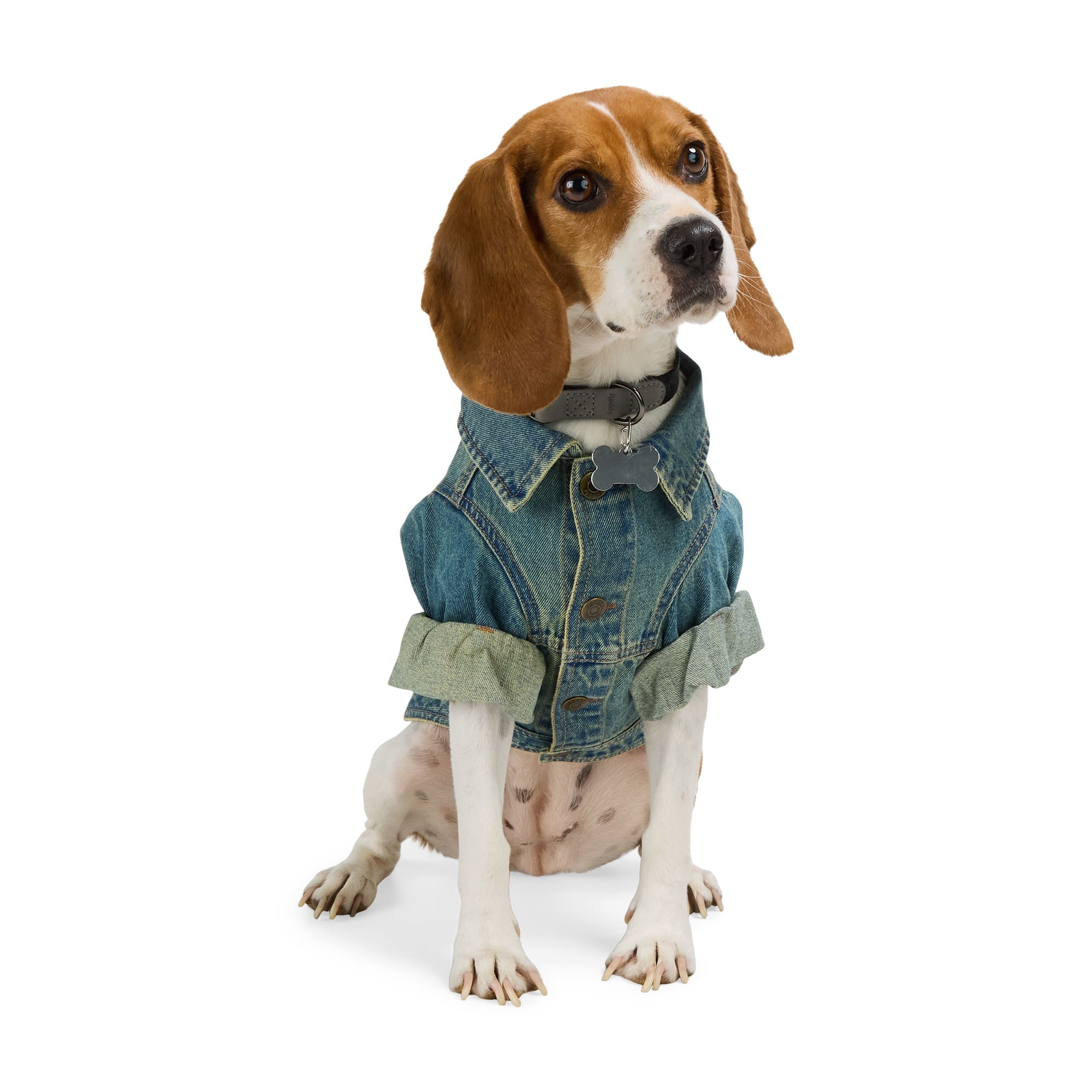 Reddy 23P691-M Dog-Clothing-Acc - View #3