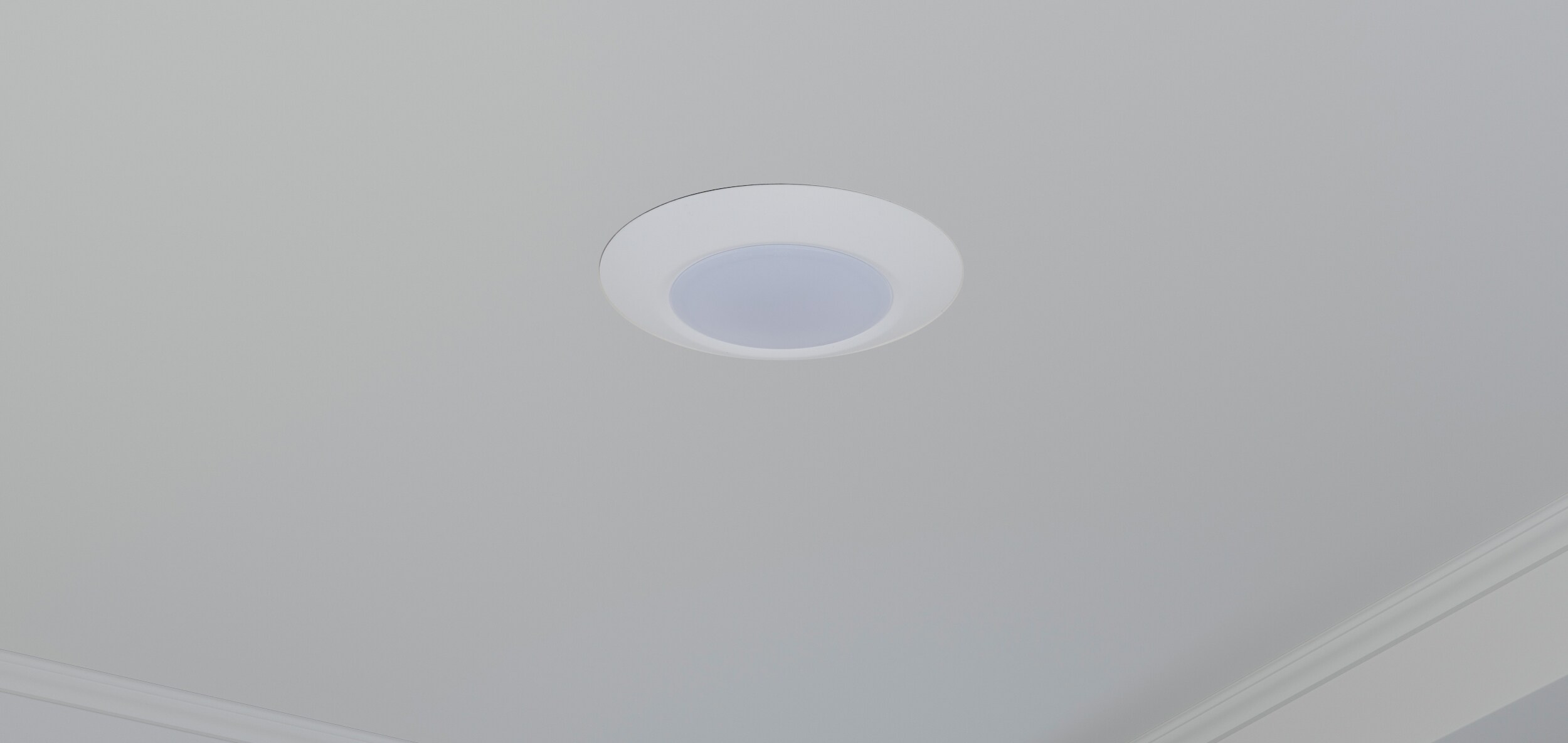 White Frosted Glass LED Flush Mount Ceiling Light