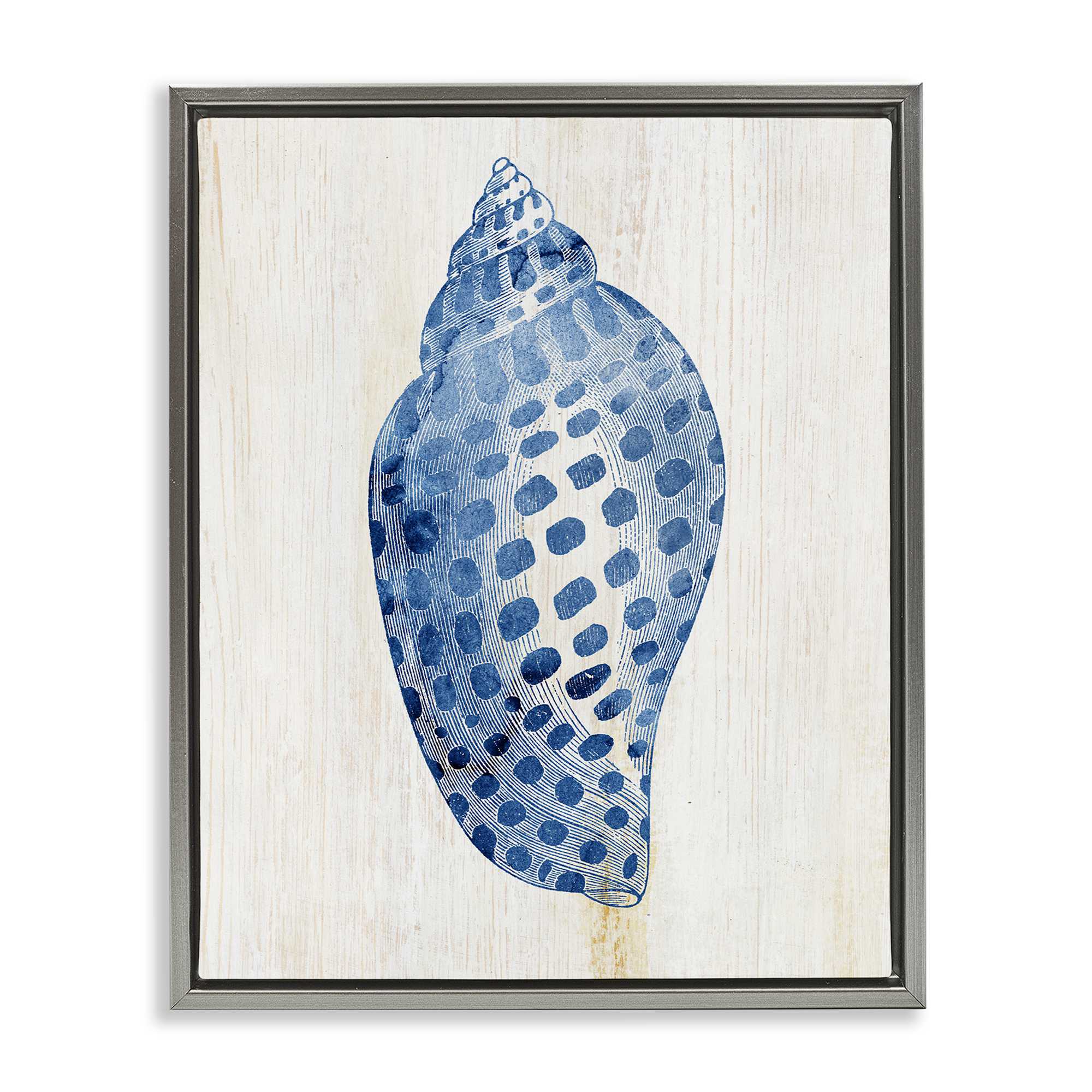 Stupell Industries BS-152-FFL-16X20 Spotted Blue Cowrie Shell Floating Frame design by Susan Arnot