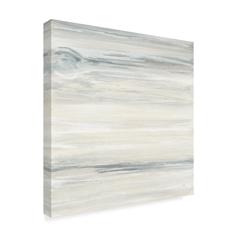 Trademark Fine Art WAP05893-C2424GG Wall-Art - View #2