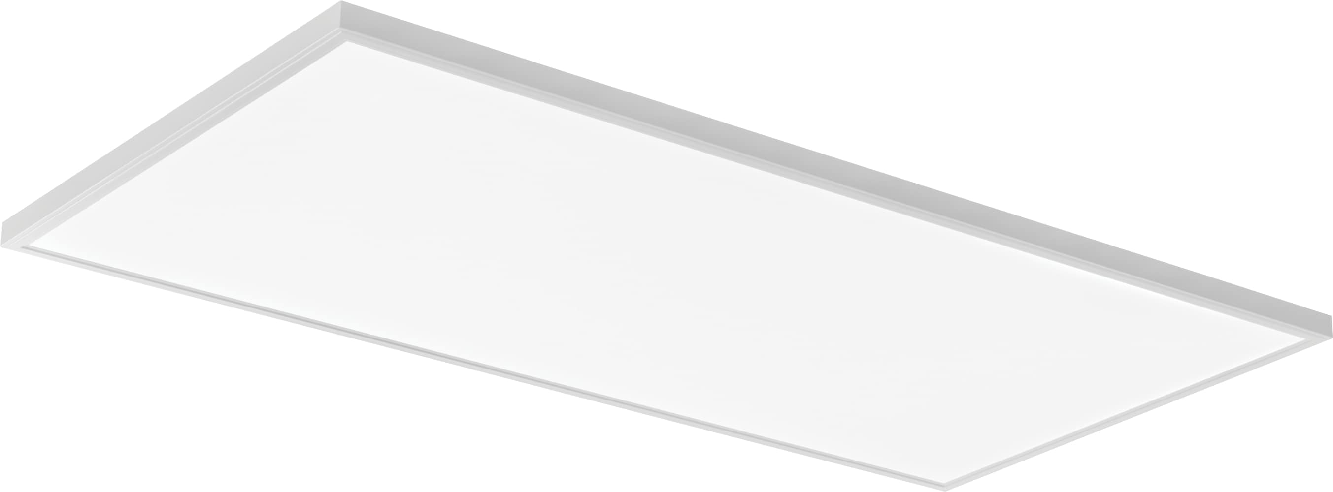 Lithonia Lighting 2-ft x 4-ft Adjustable Switchable LED Panel Light