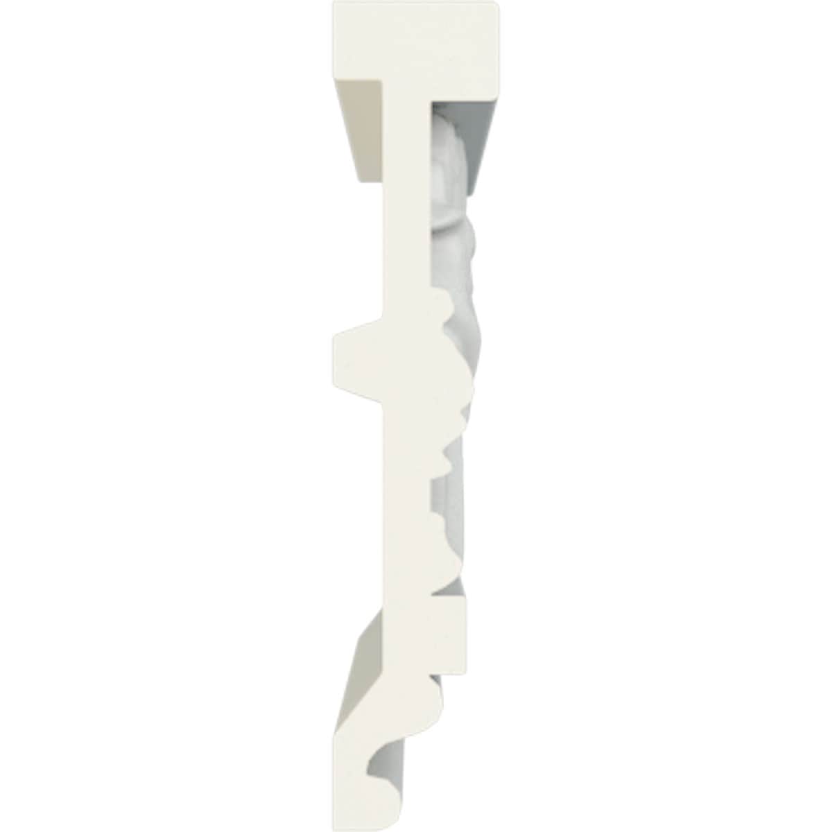 Ekena Millwork CHA05X01WE-CASE-12 Chair-Rail-Moulding - View #3