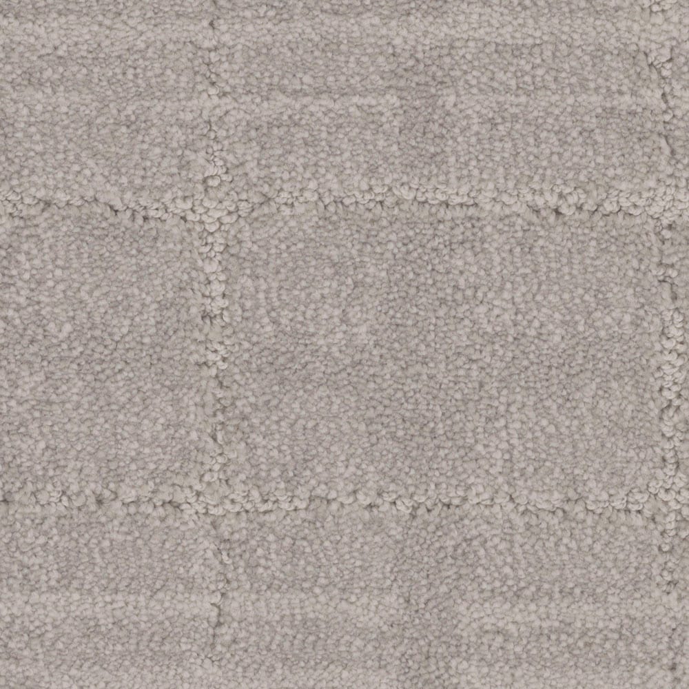 STAINMASTER PetProtect S9248-909-S (Sample) Ocean Isle Driftwood Silver 48-oz sq yard Nylon Pattern Indoor Carpet