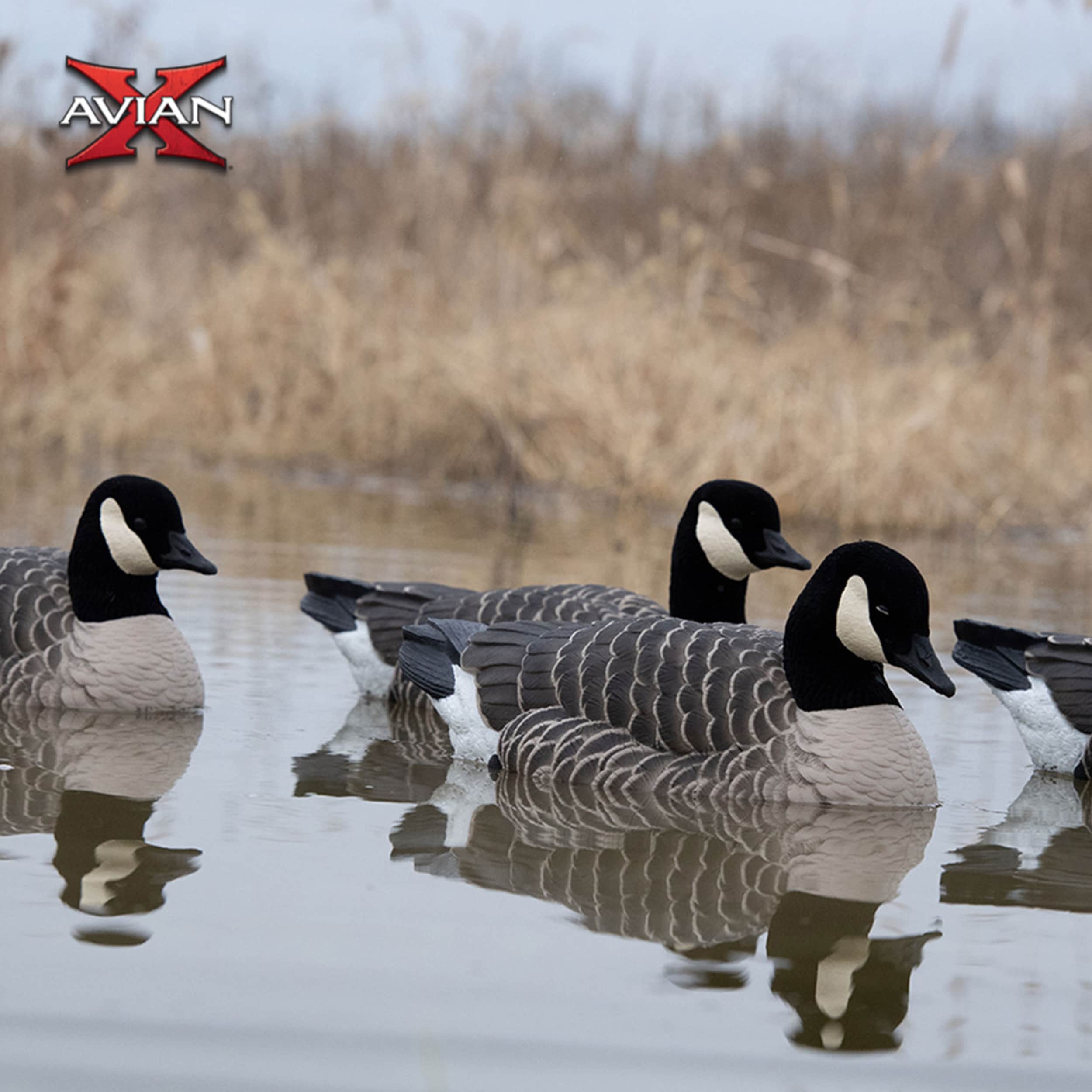  Avian X 408523 Hunting-Equipment - View #6