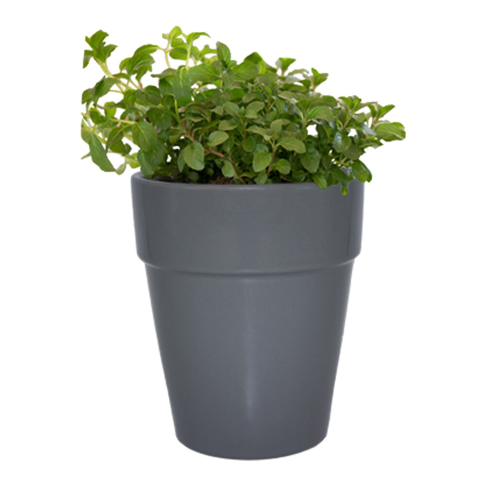 Garden Treasures CR10168-05H Planter-Window-Box - View #3