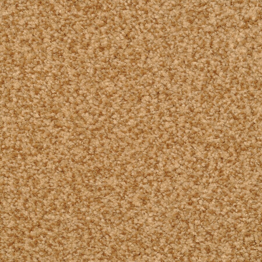 STAINMASTER 4593-112 Signature Fiesta Dazzle Textured Indoor Carpet