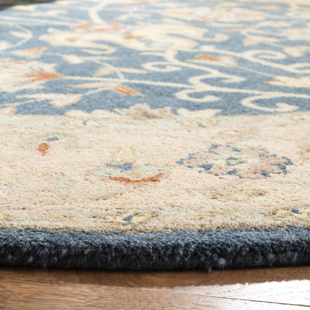 Safavieh AT21E-6R rugs - View #3