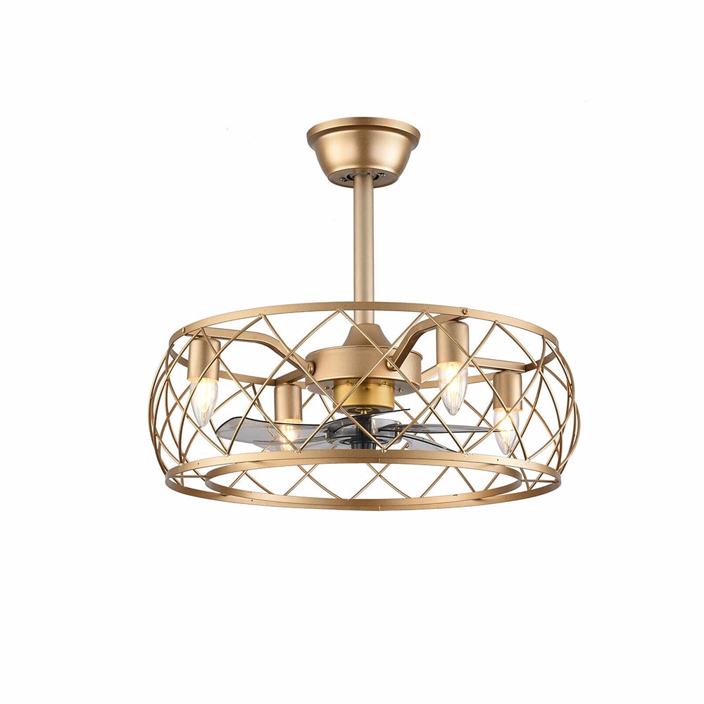 20" Gold Aluminum Caged Ceiling Fan with LED Light and Remote