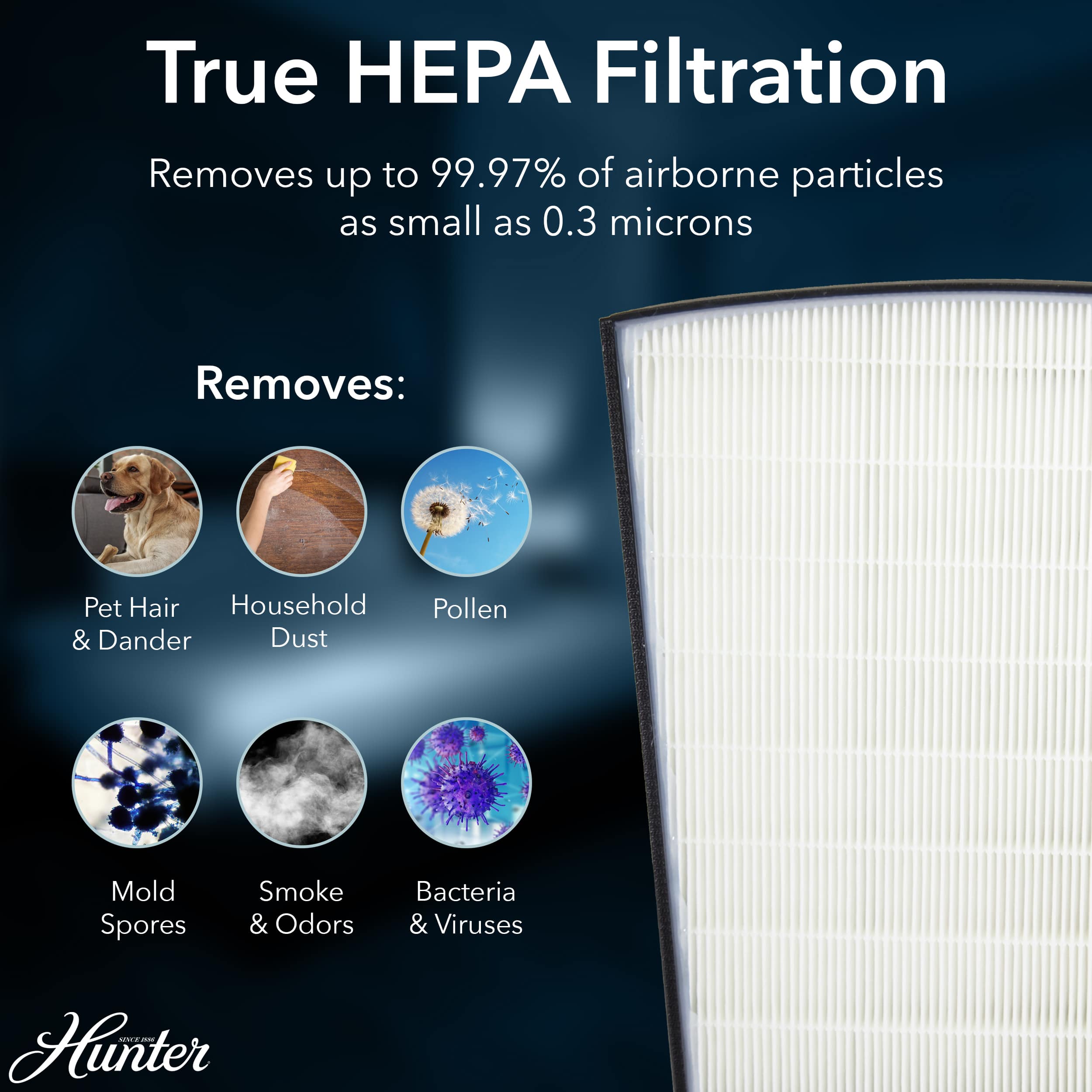 Hunter HP800GR m018095 - View #4