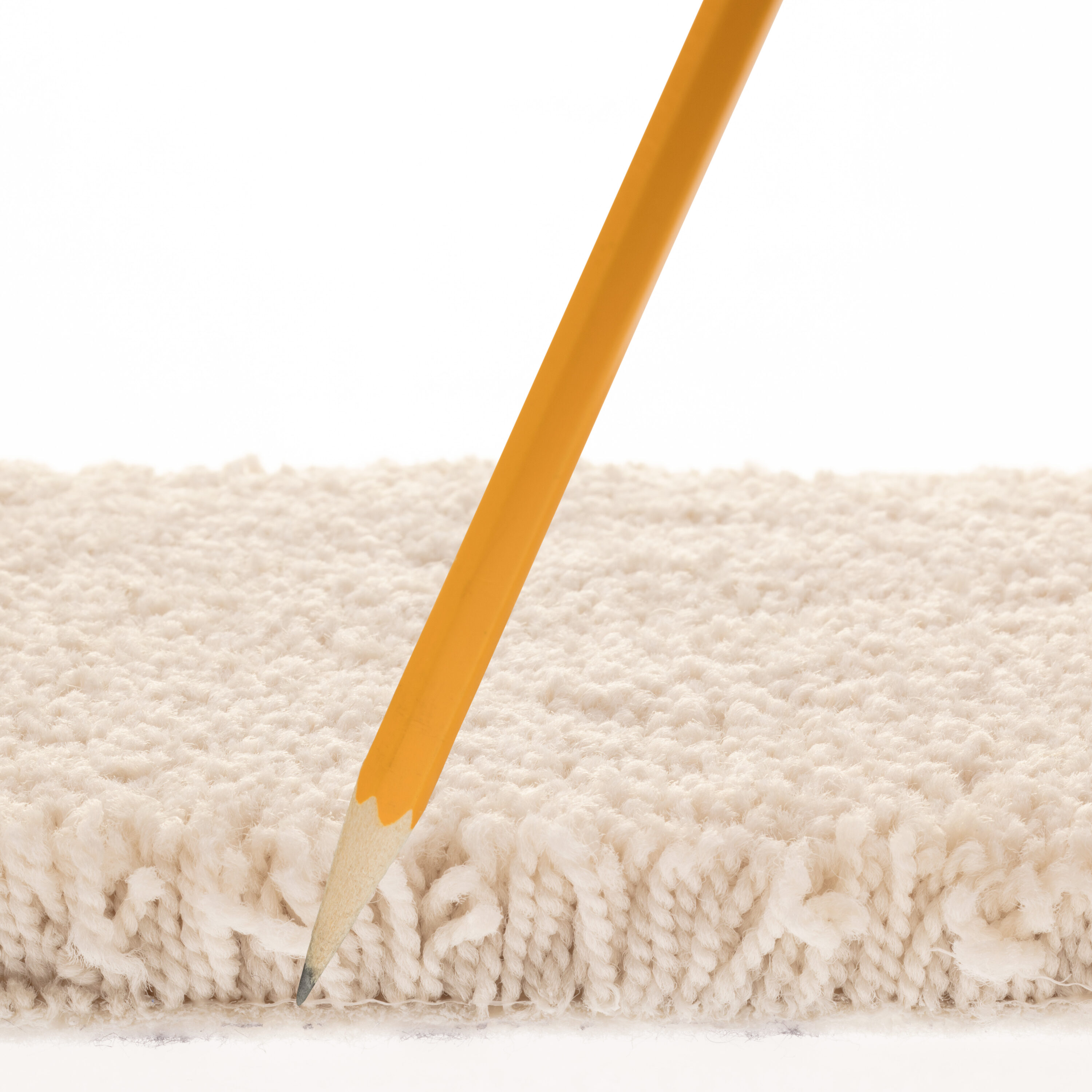STAINMASTER PetProtect 7L883 - 156 - SAMP Carpet-Samples - View #7
