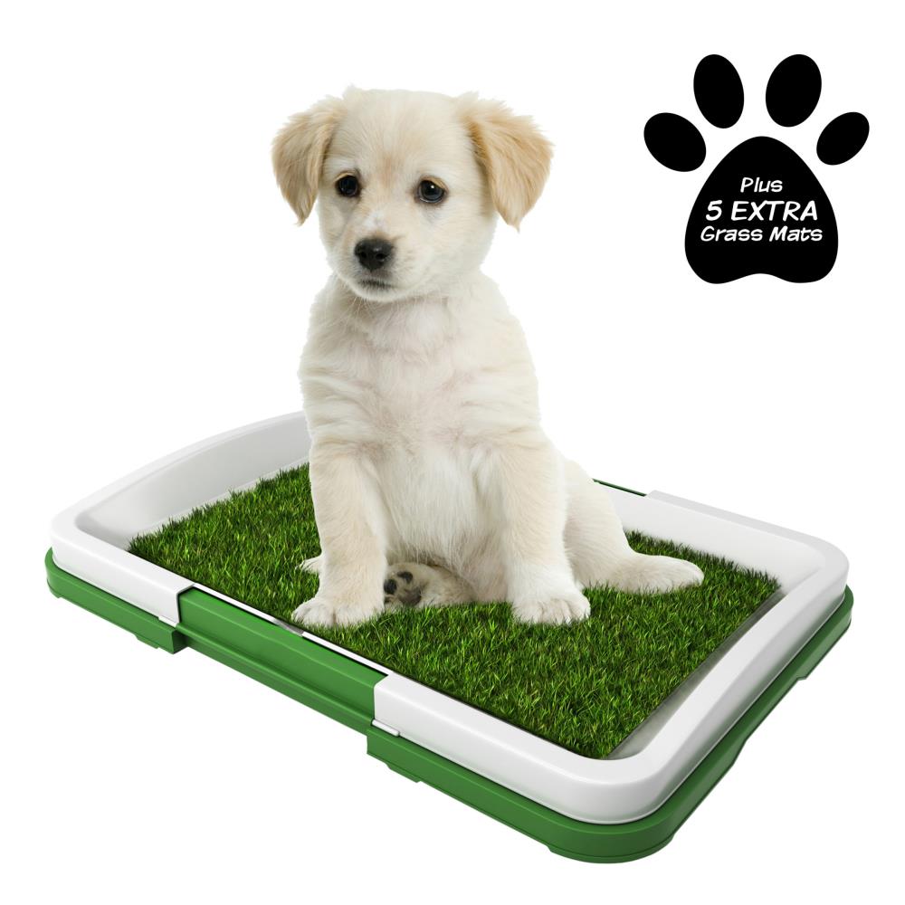 Hompet Dog Toilet Indoor Puppy Training Pad, Dog Potty Pet Training Grass  Mat, Removable Waste Tray for Easier Clean Up, Artificial Turf, 25×20