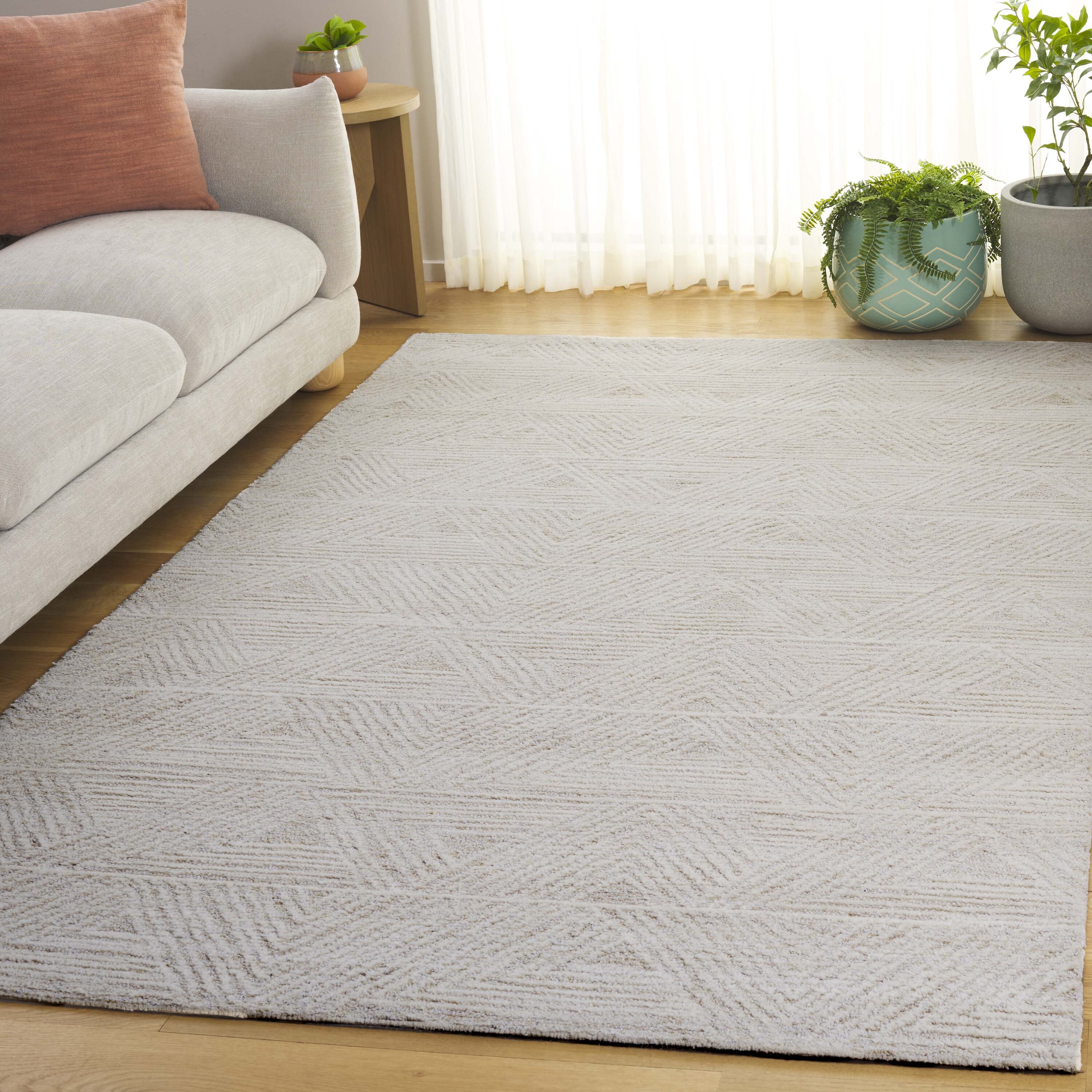  Ebony 217 Ivory/Beige Contemporary 5ft x 8ft Medium Rectangle Rug