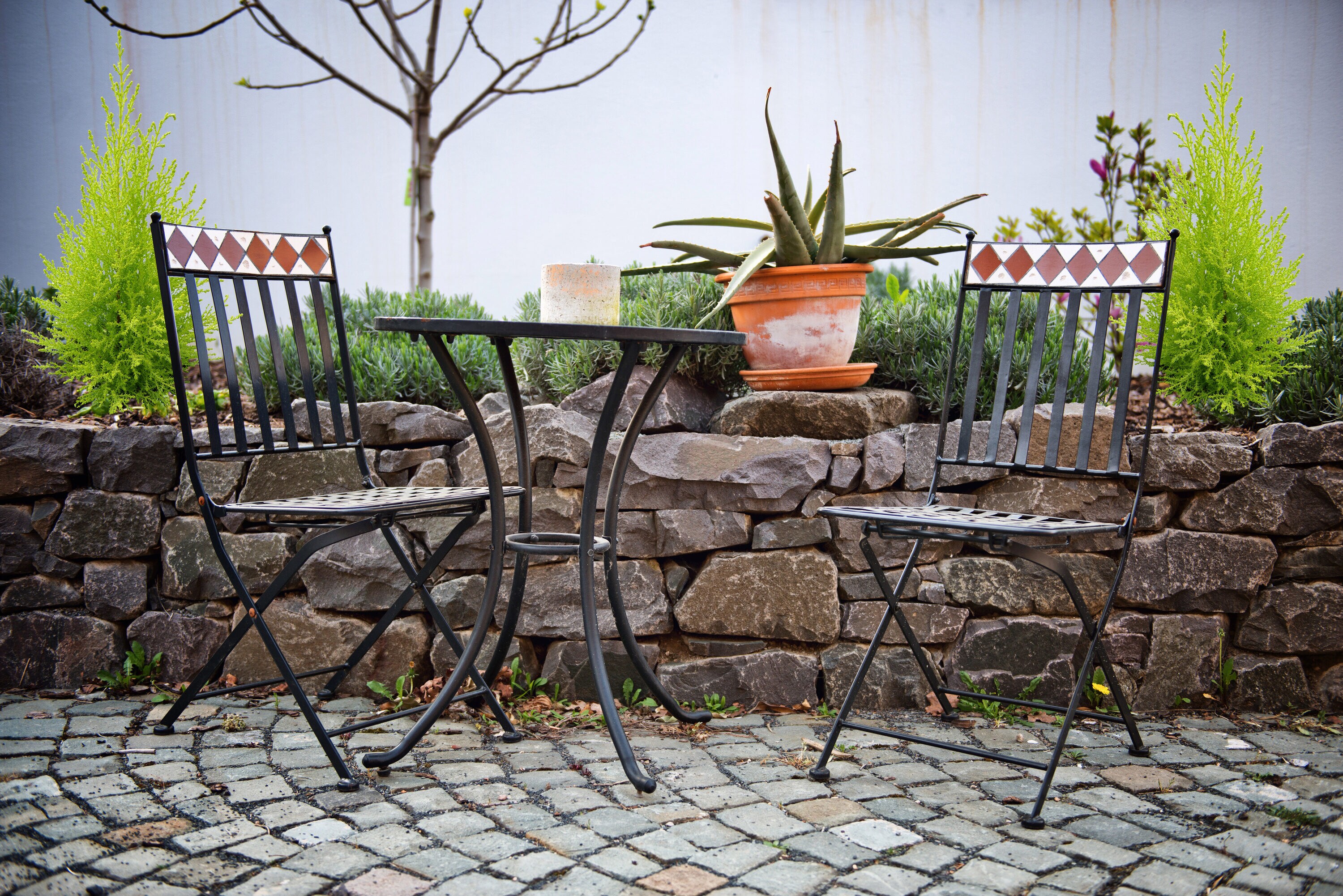  2672 perennials - View #4