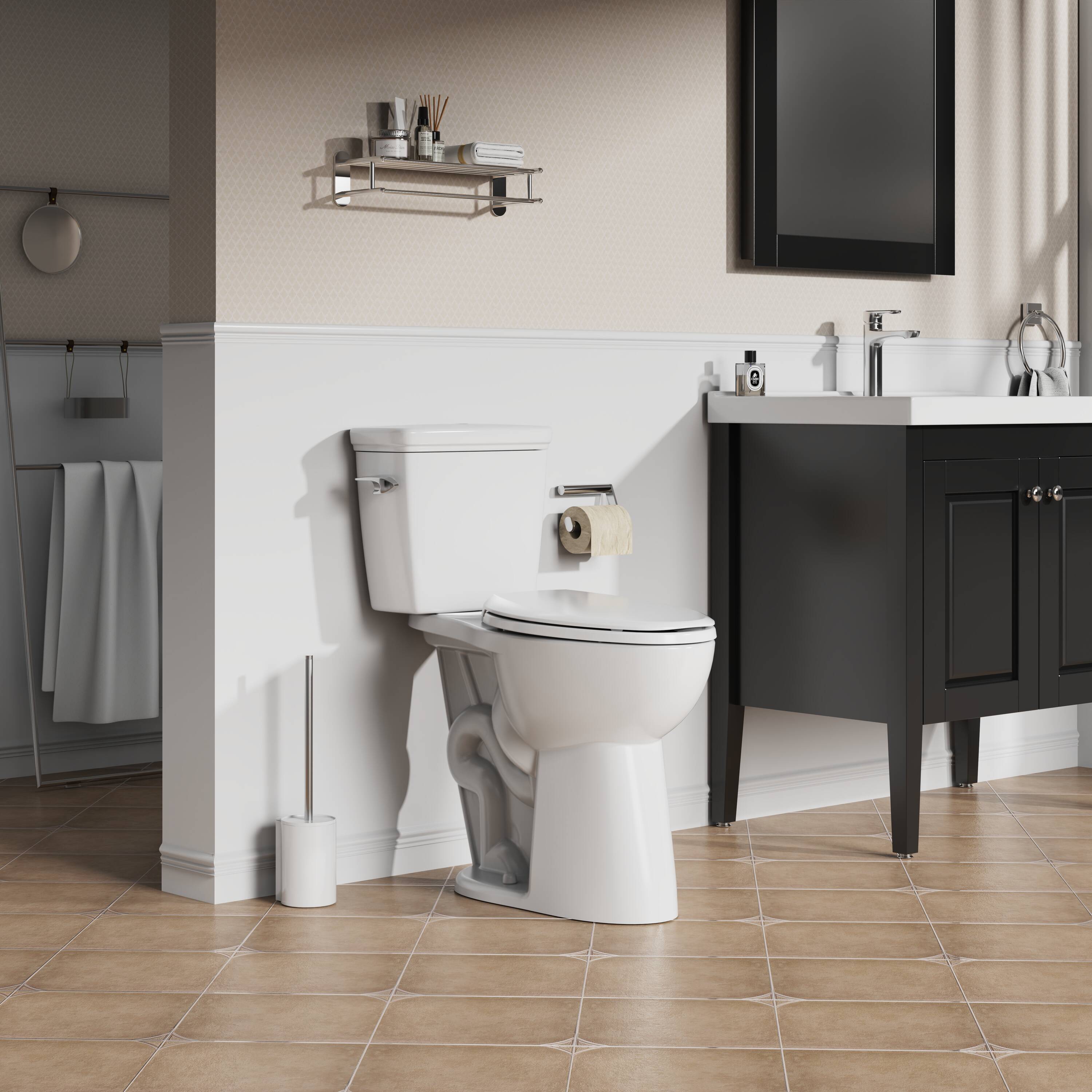 Project Source MT-20215L toilets - View #7