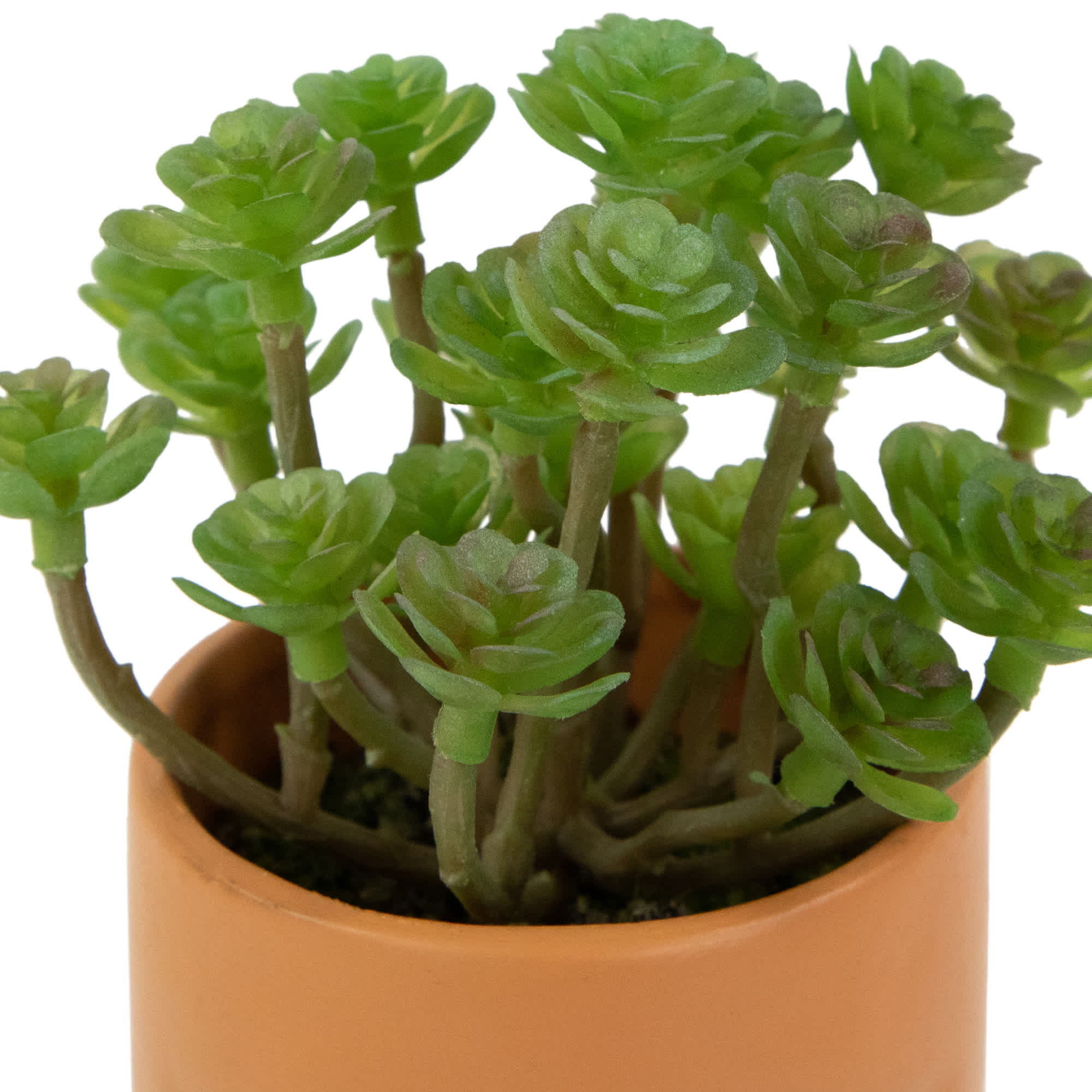 Northlight NORTHLIGHT HF94686 Artificial-Plants-Trees - View #3
