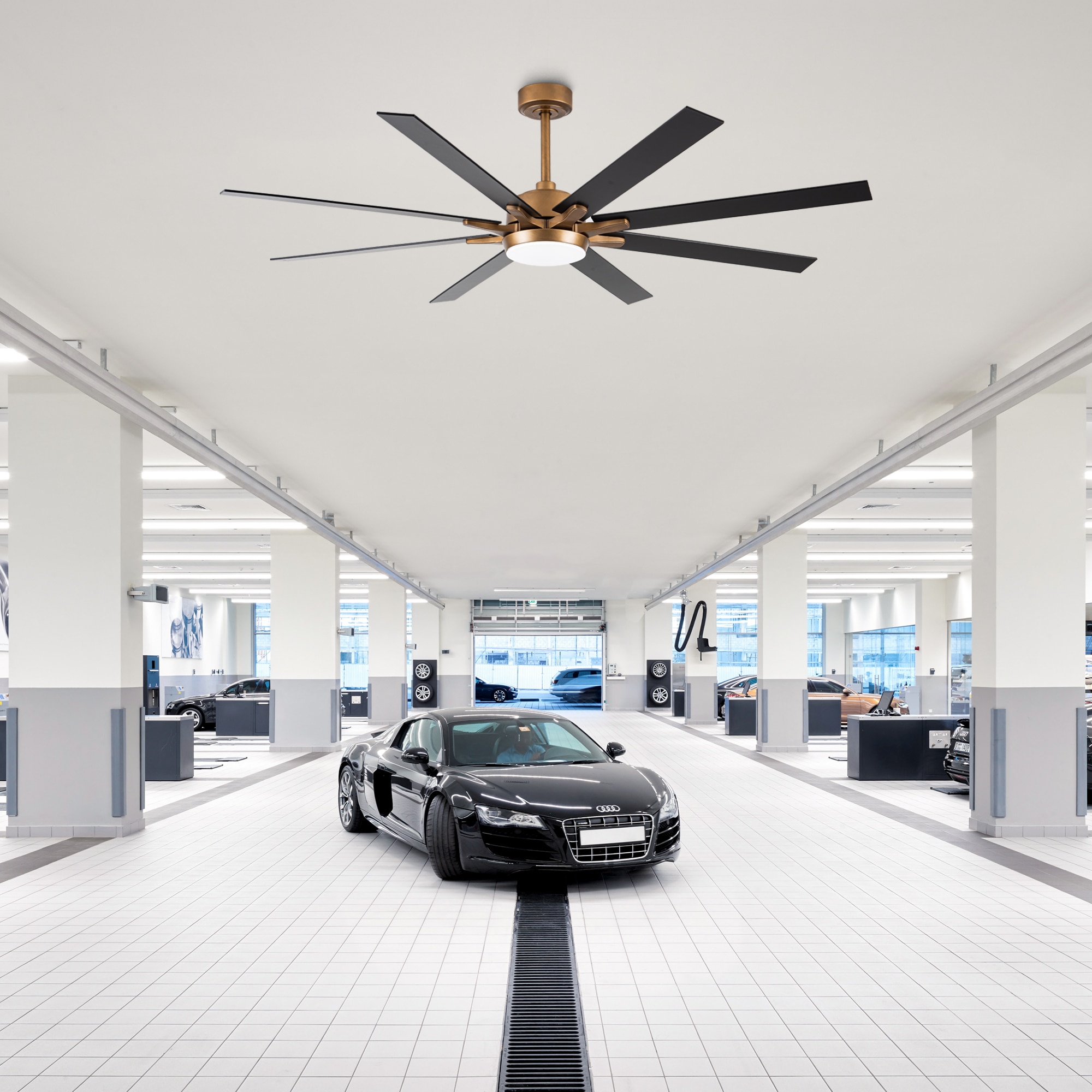 Parrot Uncle F8261110V Ceiling-Fans - View #20