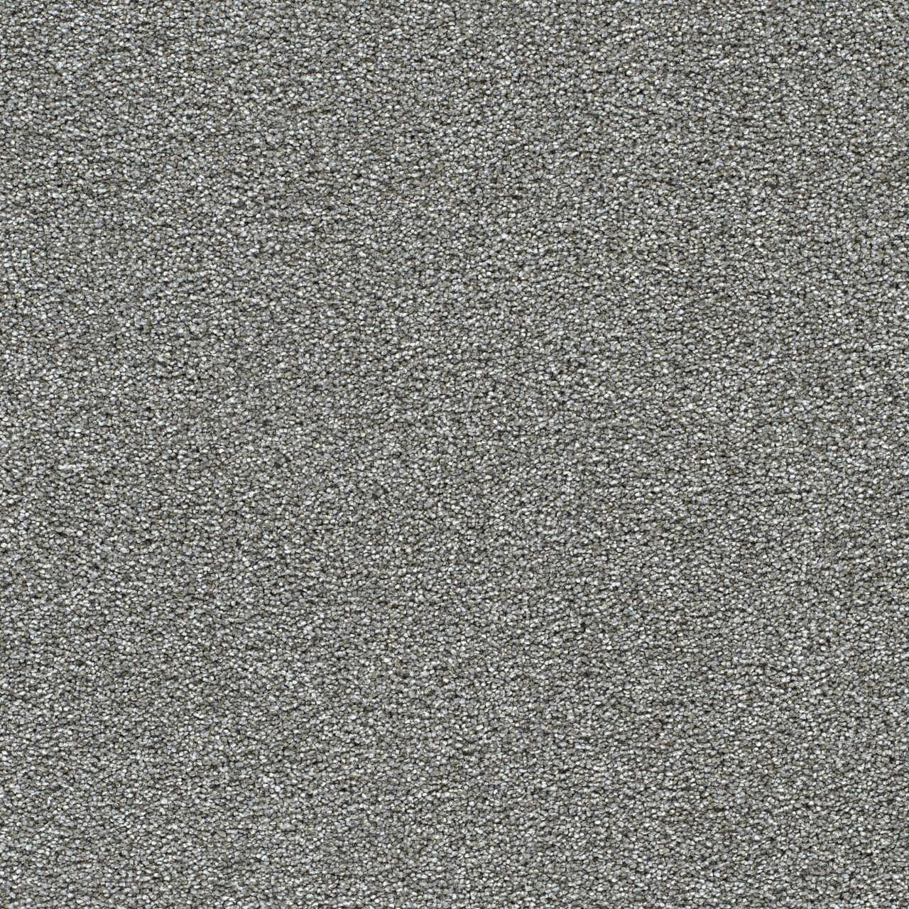 STAINMASTER L5016-1513-1200-AB Over The Moon II Tickled Gray 50-oz sq yard Solution-dyed polyester Textured Indoor Carpet