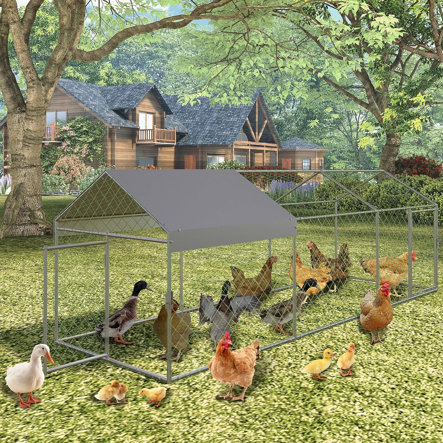 Qeetex WLS-PHO-16N3QJBH Chicken-Coops-Rabbit-Hutches - View #8