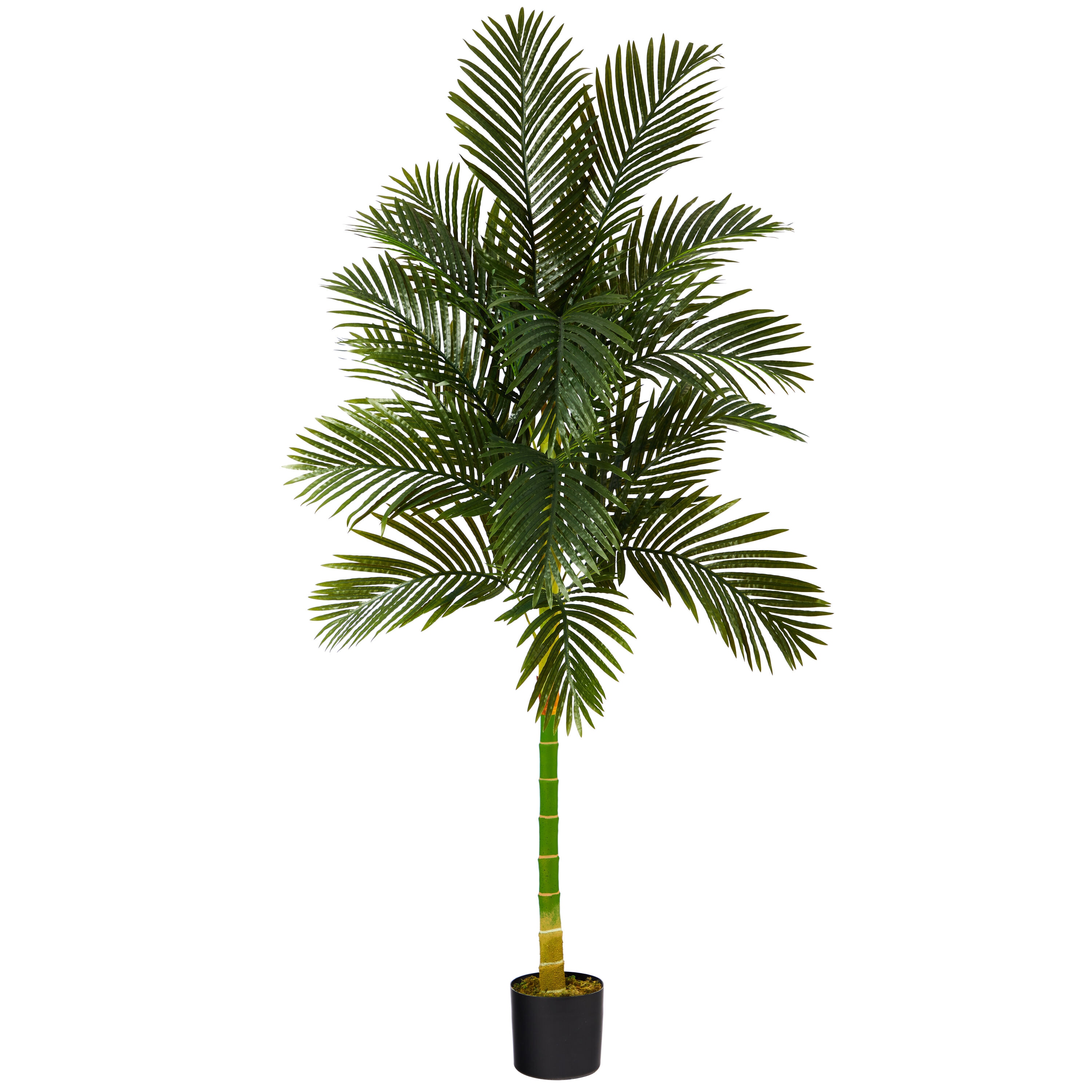  7-ft Golden Cane Artificial Palm Tree
