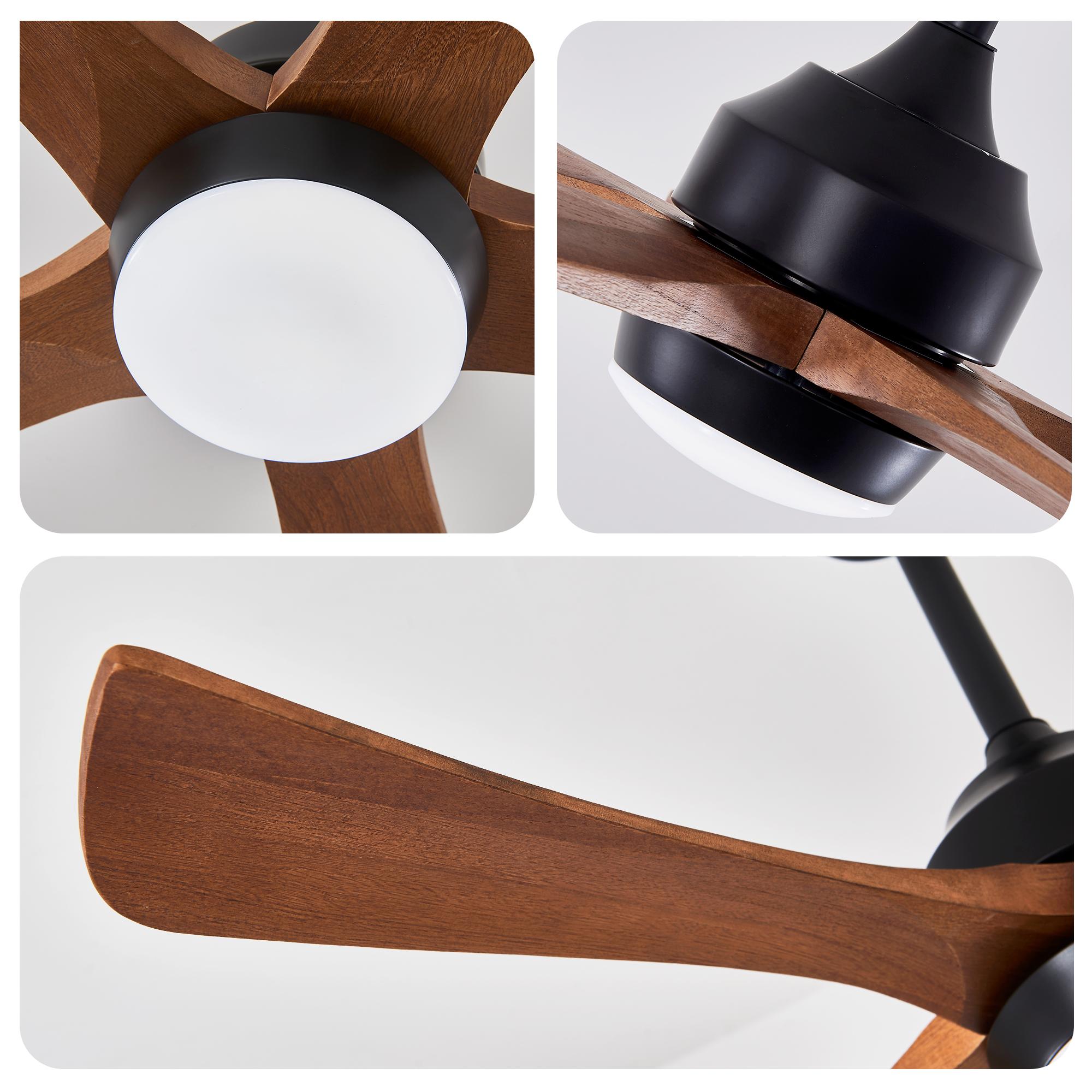 Bayfeve BF-460831-MP Ceiling-Fans - View #20