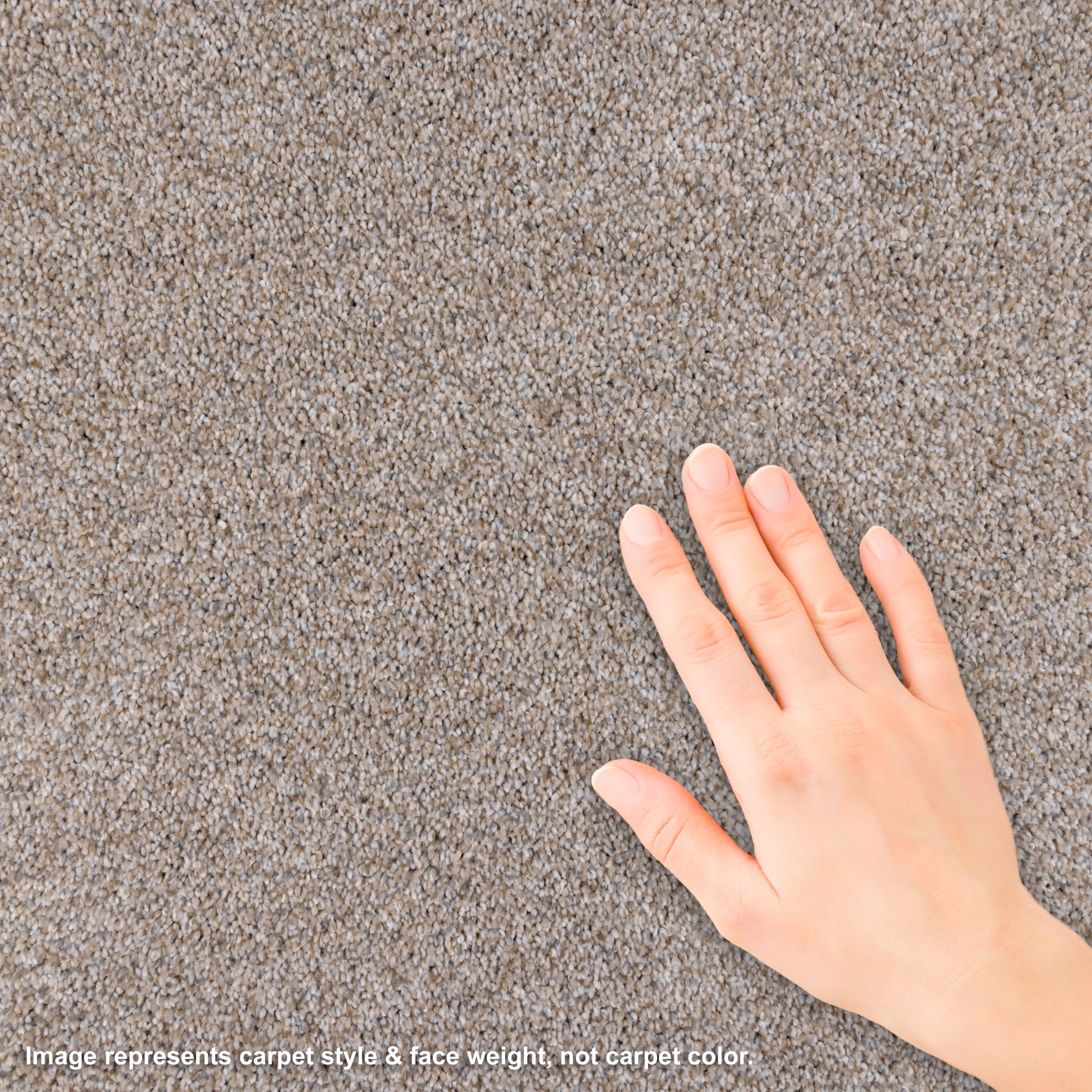 STAINMASTER L5015-1508-1200-AB Carpet-Panel - View #5