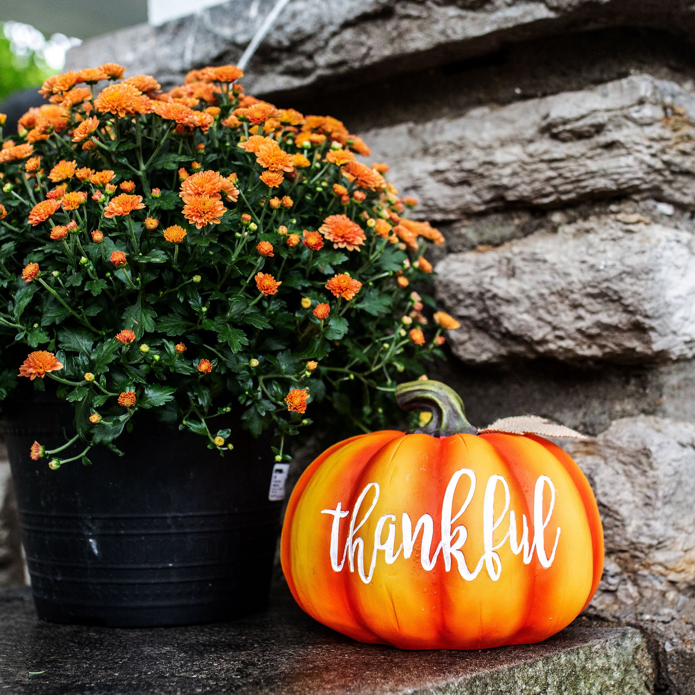 Exhart 16777-RS Indoor-Thanksgiving-Decor - View #12