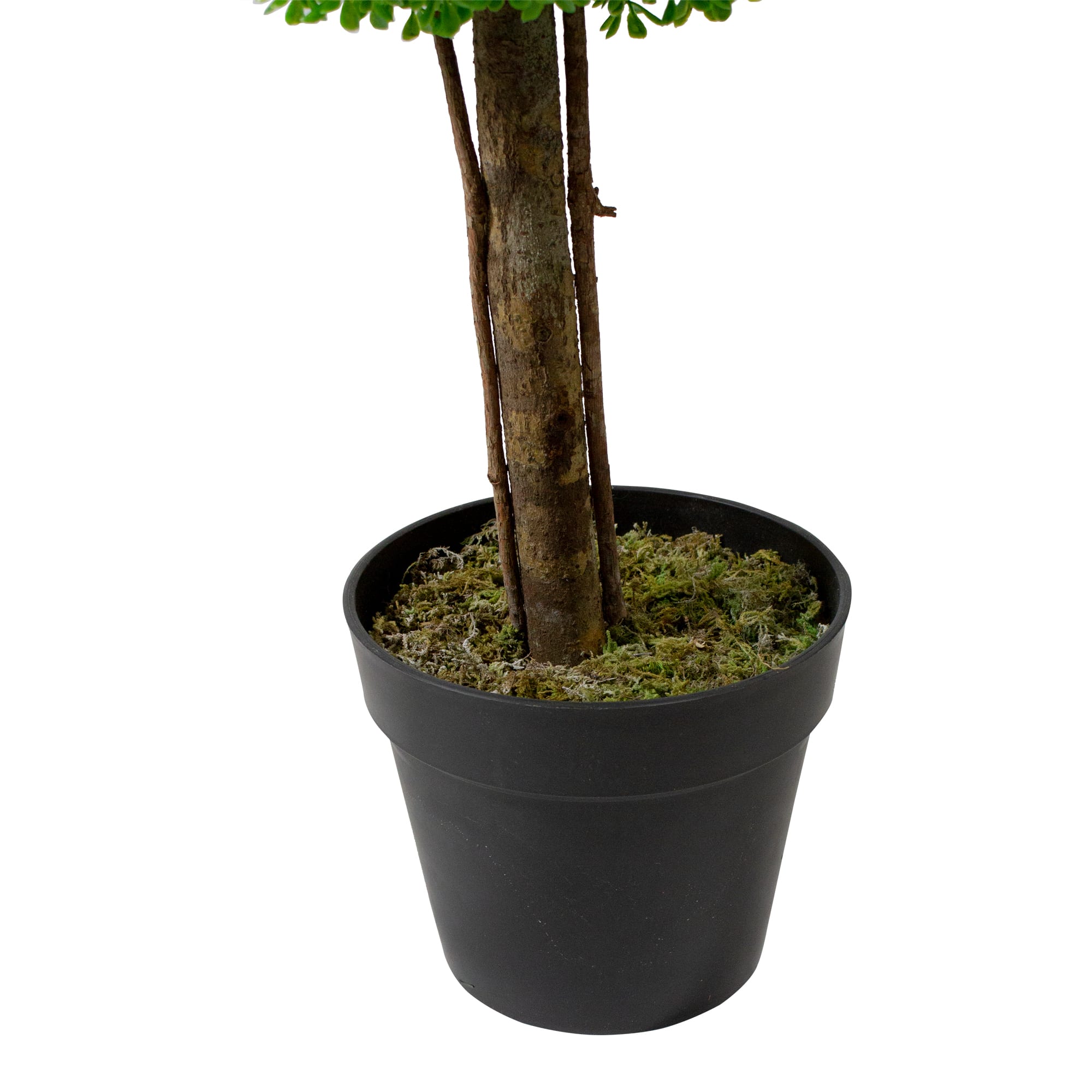 Northlight NORTHLIGHT WN29927 Artificial-Plants-Trees - View #4